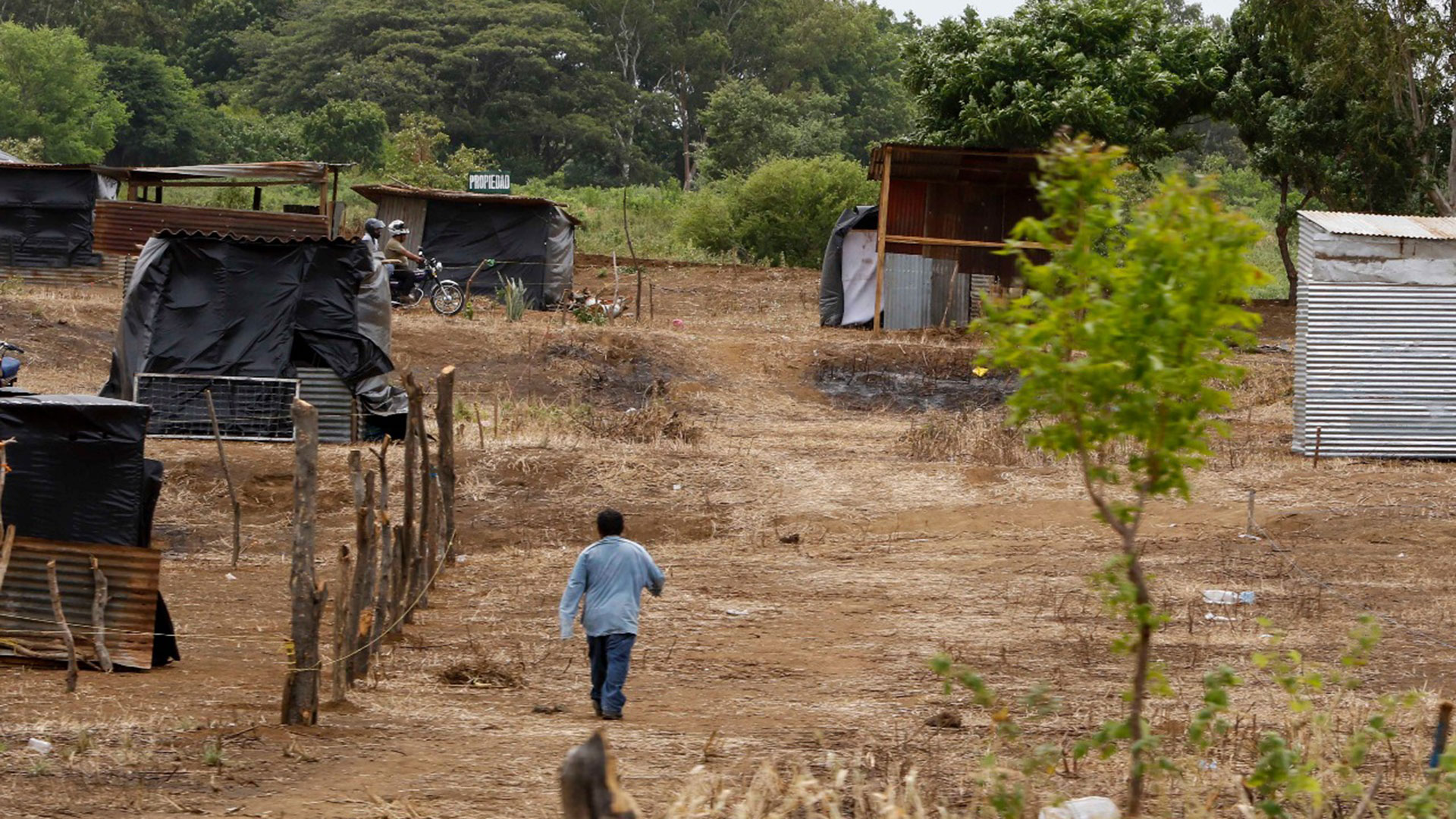 La mitad de las tierras invadidas son de uso agrícola.
