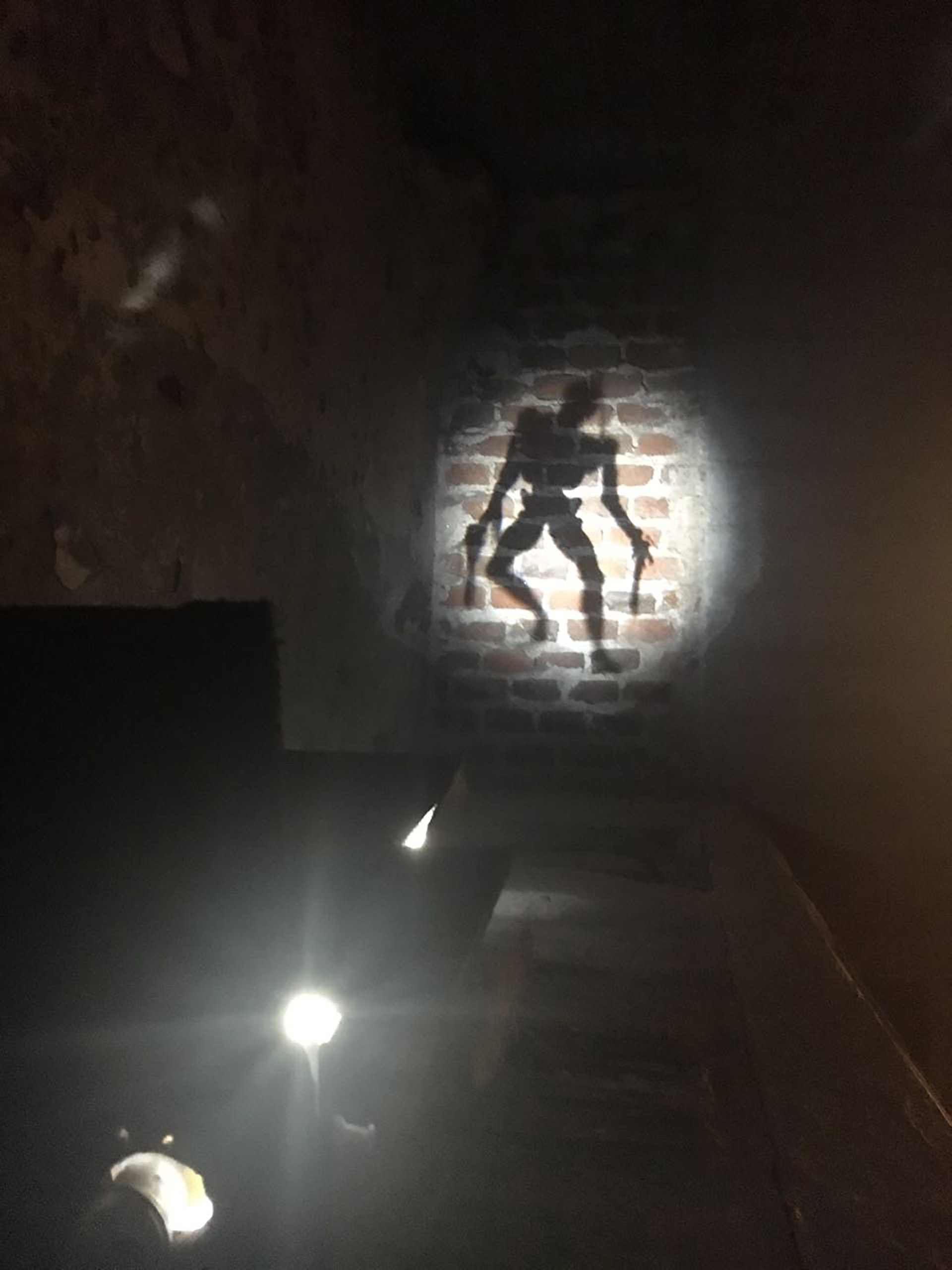 Nicolás Machado. “Ser oscuro”, proyección sobre pared