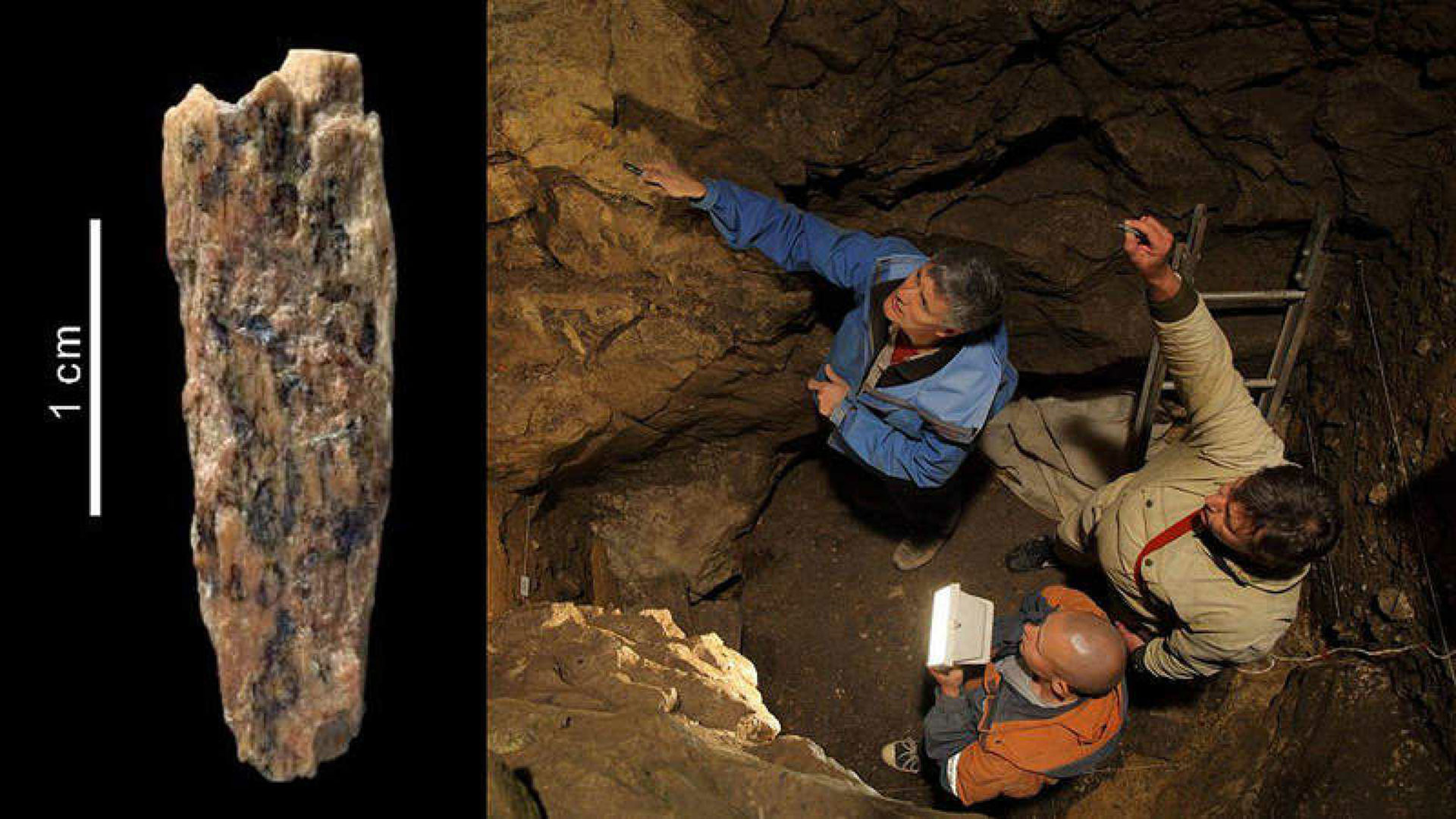 Un fragmento reveló que hubo una descendiente de homínidos de Neanderthal y de Denísova
