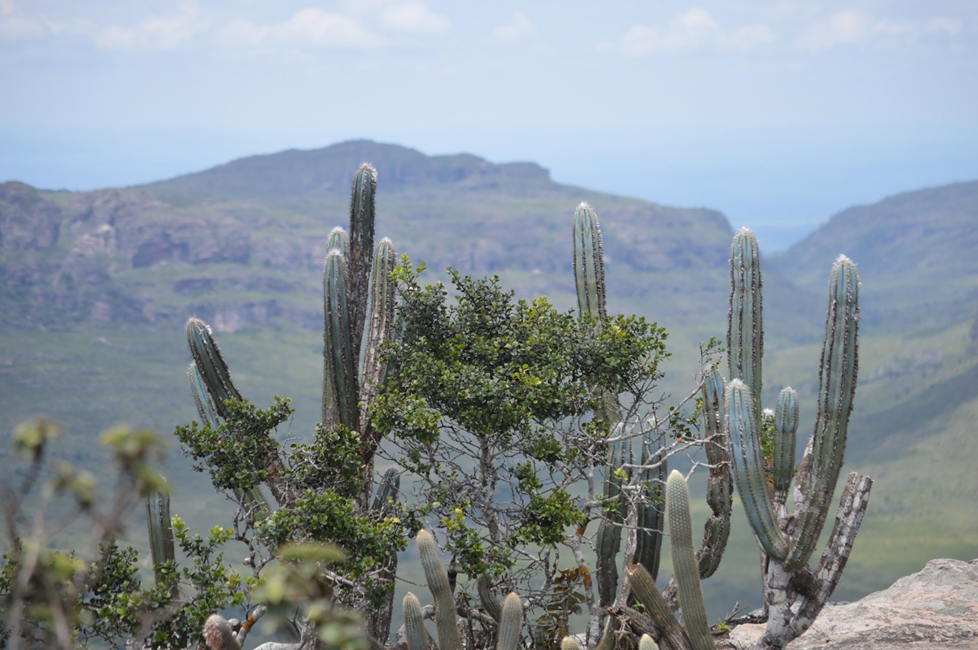 Chapada Diamantina