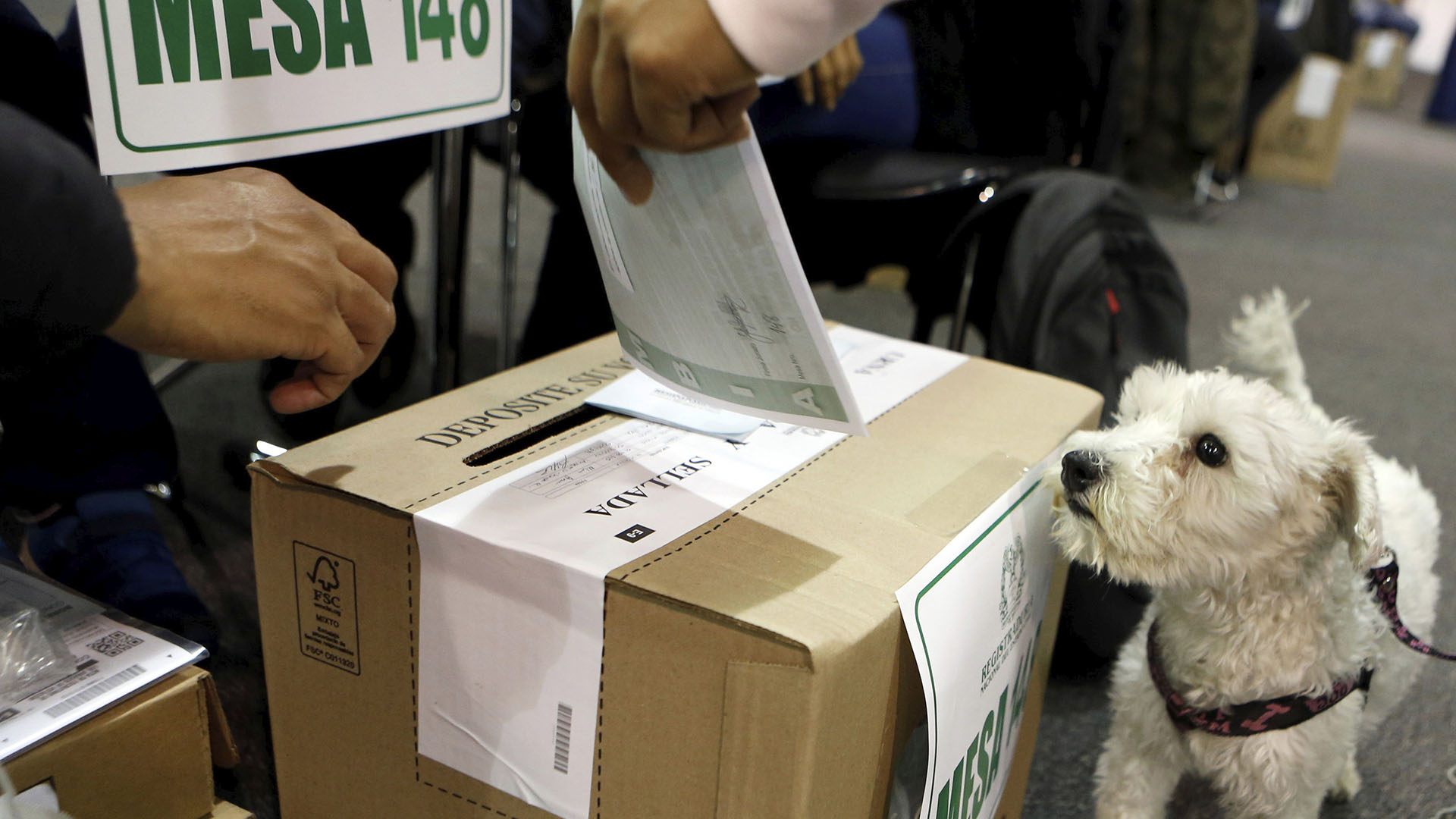 El padrón electoral lideró las búsquedas (Reuters)