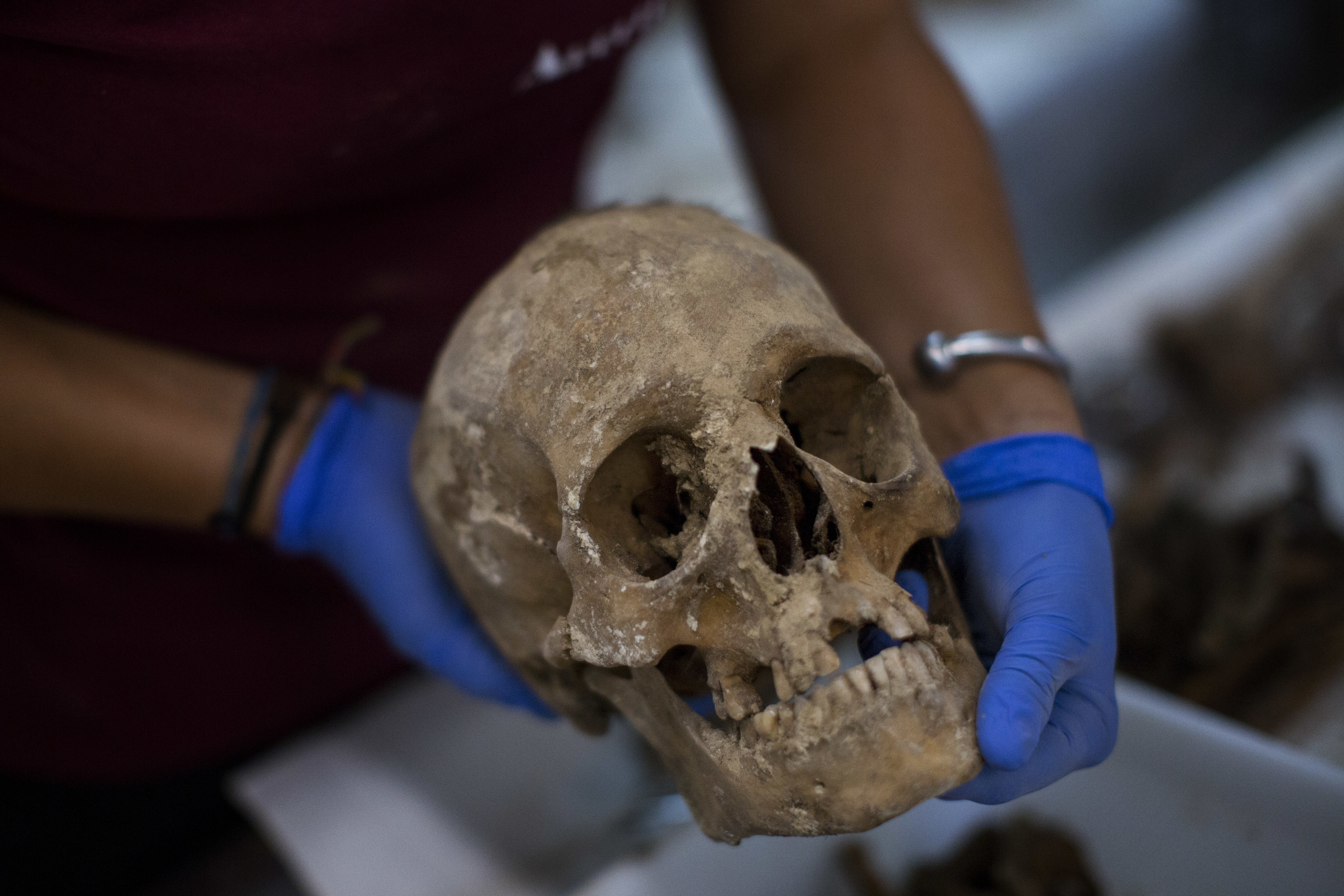 Un antropólogo sostiene un cráneo para fotografiarlo después de haberlo exhumado de una fosa común en el cementerio de Paterna, cerca de Valencia, España, el martes 28 de agosto de 2018. Los arqueólogos están desenterrando los restos de algunas de las 100 personas que se cree que fueron ejecutadas por el régimen franquista cerca de Valencia al final de la Guerra Civil española hace ocho décadas (AP Foto/Emilio Morenatti)
