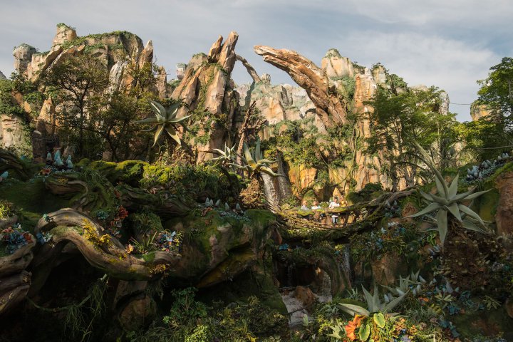 pandora bay Disney