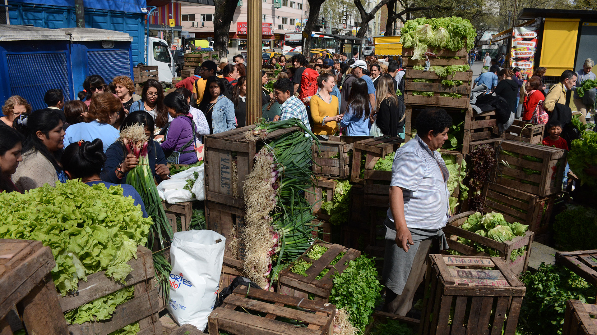 Se instalaron gazebos en los que quinteros de distintos puntos de la provincia de Buenos Aires ofrecen la producción a un mismo costo: 10 pesos