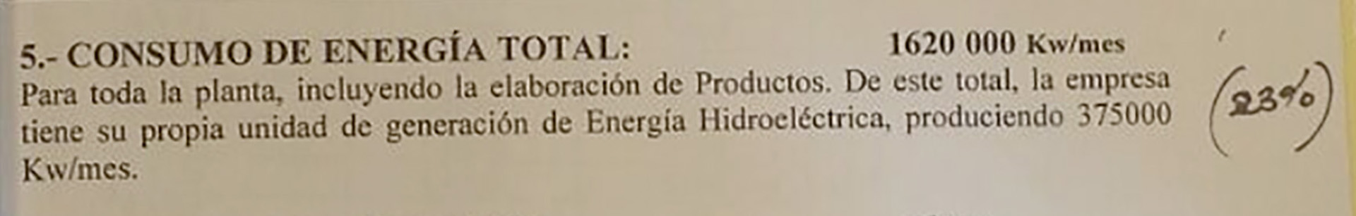 El documento que Molinos Juan Semino presentó ante en ENRE