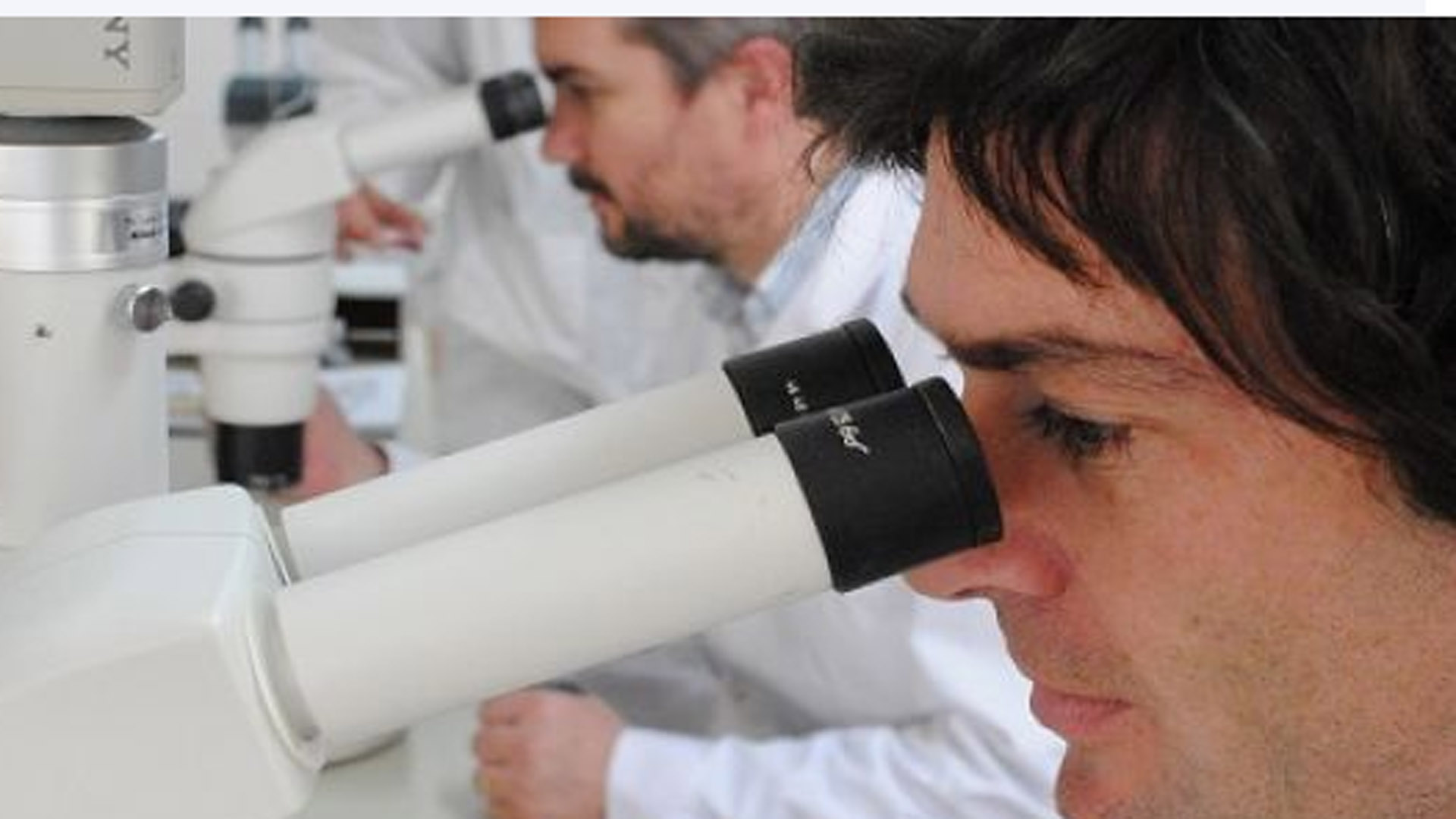 En el INTA, los científicos trabajan con la nueva tecnología que puede manipular el ADN bovino y equino, inclusive