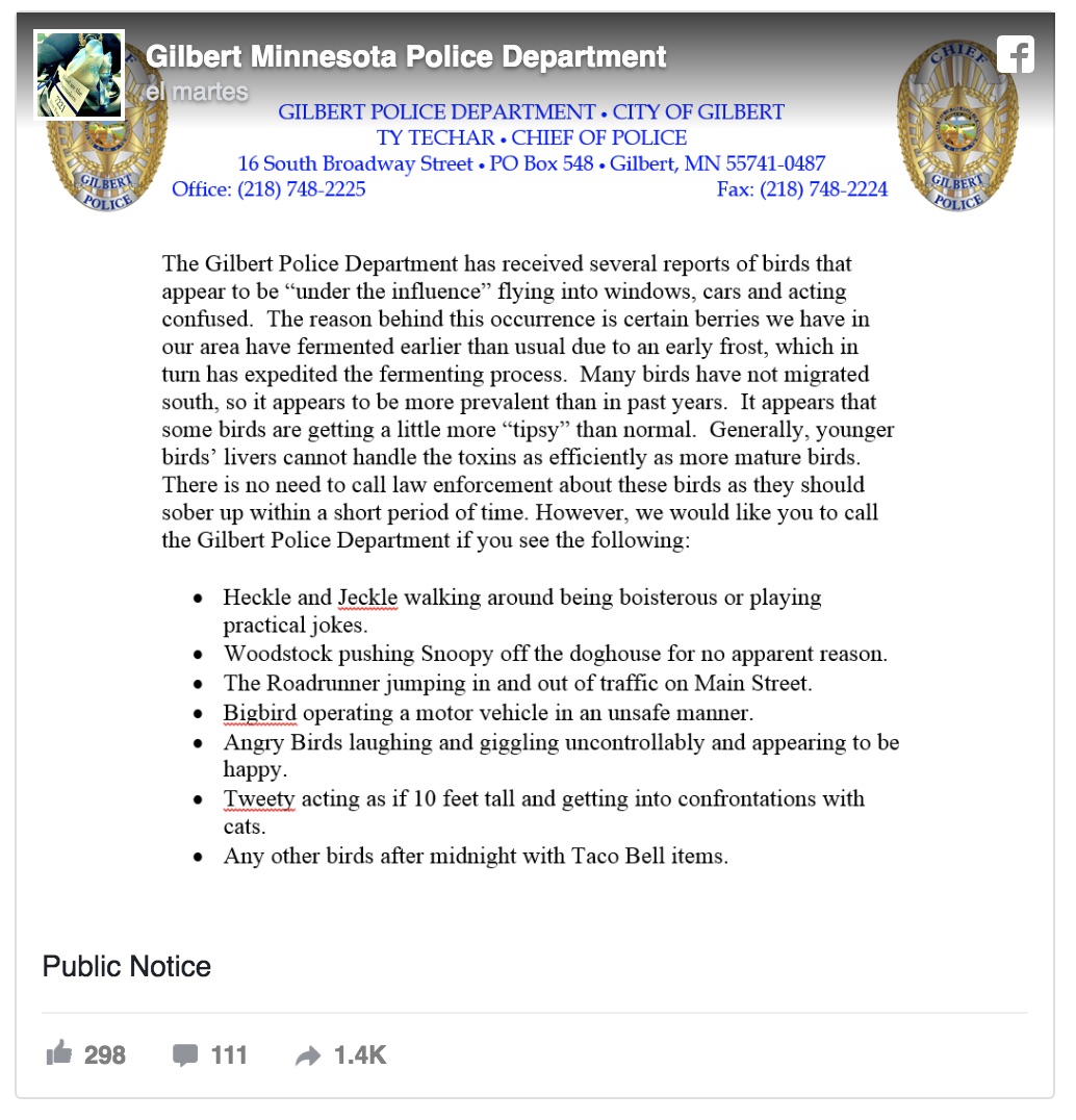 Comunicado de prensa del Departamento de Policía de Gilbert (Minnesota) en relación a la presencia de pájaros ebrios en la ciudad (Captura Facebook)