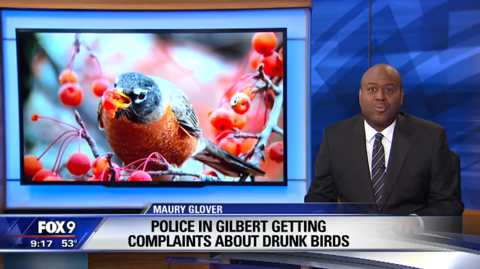 (Captura: FOX 9 News | KMSP-TV Minneapolis-St. Paul)