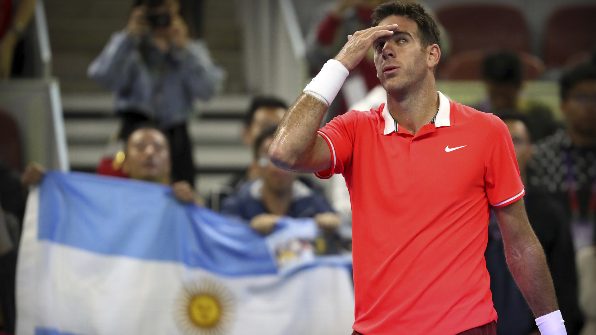 Del Potro jugará ahora en Basilea y París antes del Masters de fin de año (AP Photo)