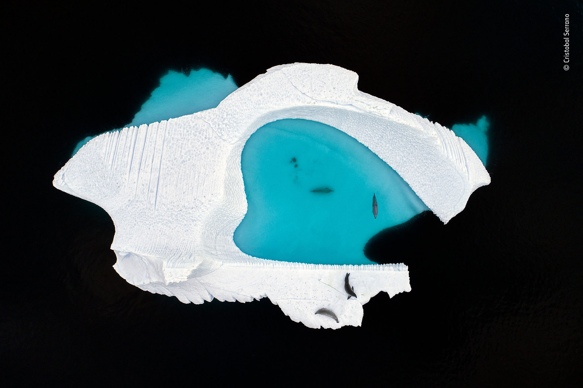 Cristobal Serrano (España), categoría Visiones creativas. “La piscina de hielo”, un iceberg retratado desde un drone en la Antártida muestra la forma de un corazón