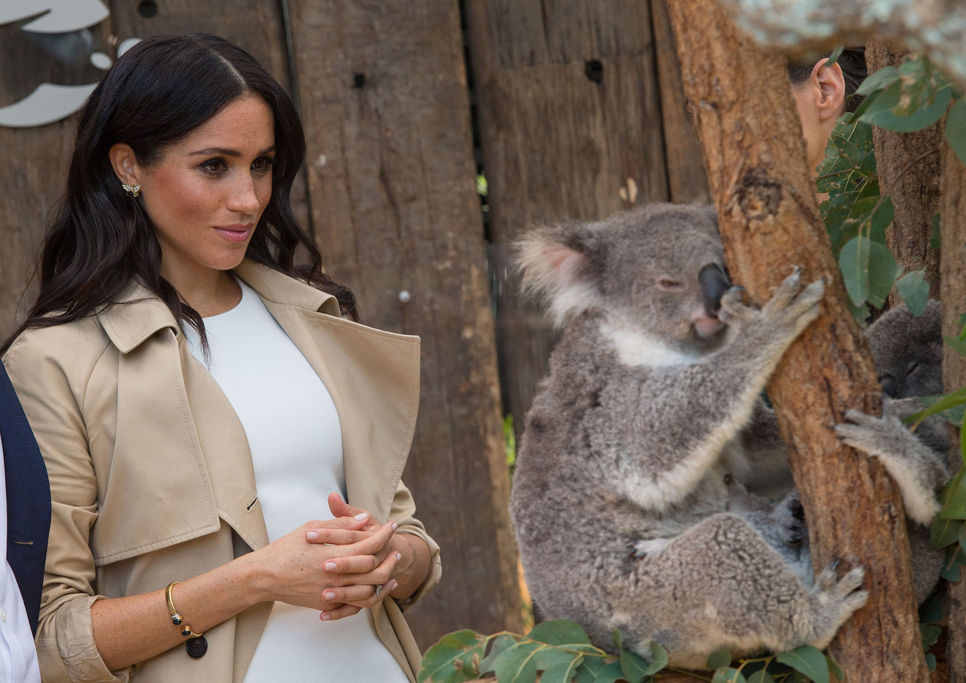 La semana pasada, el Palacio de Kensington anunció el embarazo de la duquesa de Sussex