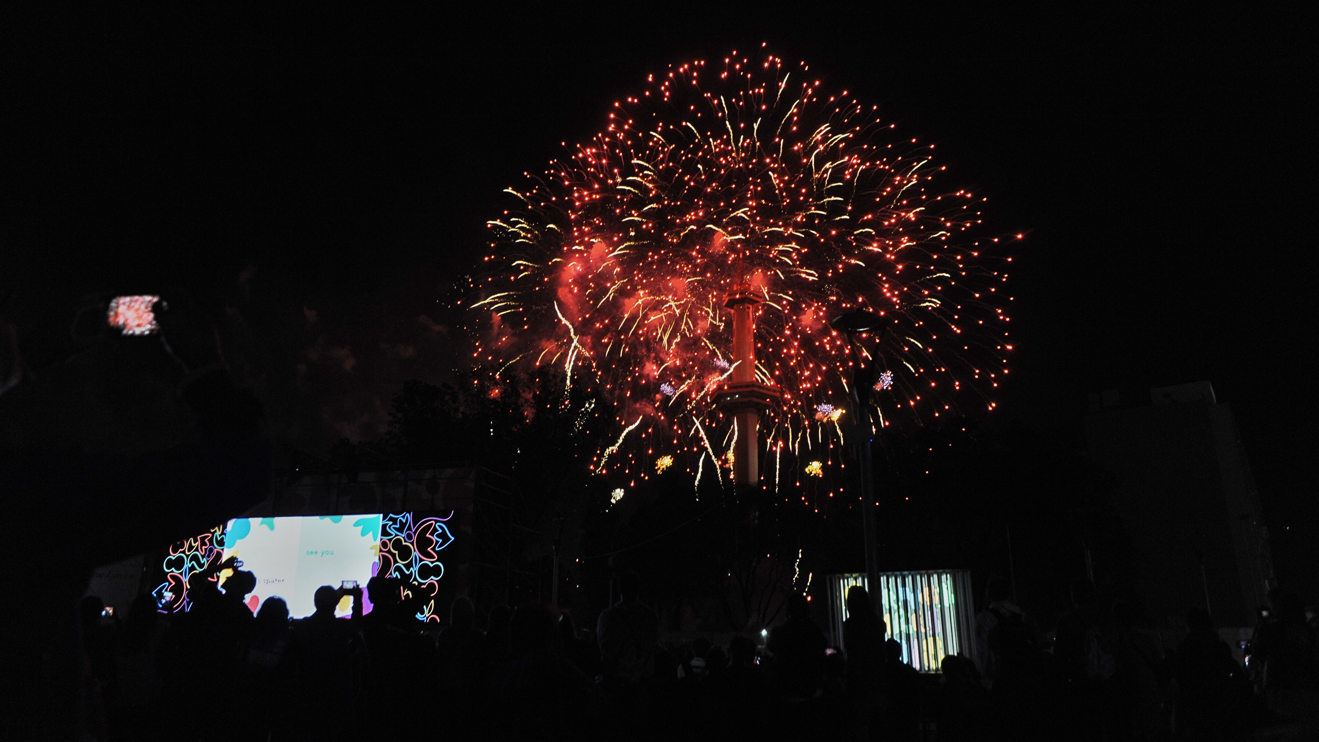 Los fuegos artificiales completaron el show(Patricio Murphy)