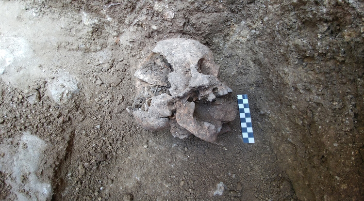 Los arqueólogos encontraron los restos de una persona de unos 10 años que data del siglo V (David Pickel/Stanford University)