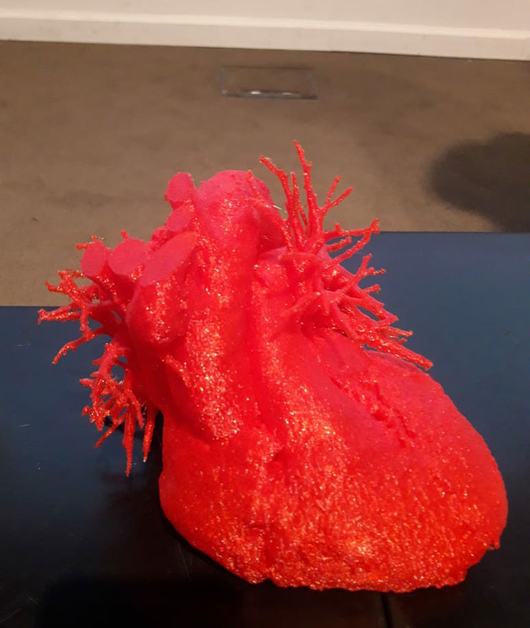 Corazón a escala real en 3D