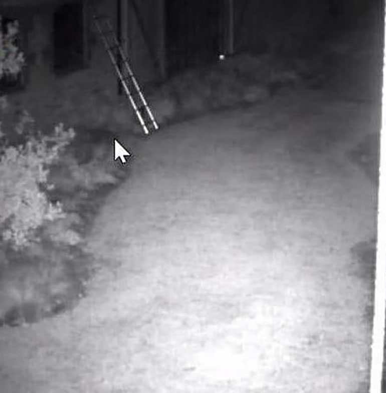 Los ladrones intentaron ingresar a la mansión con una escalera