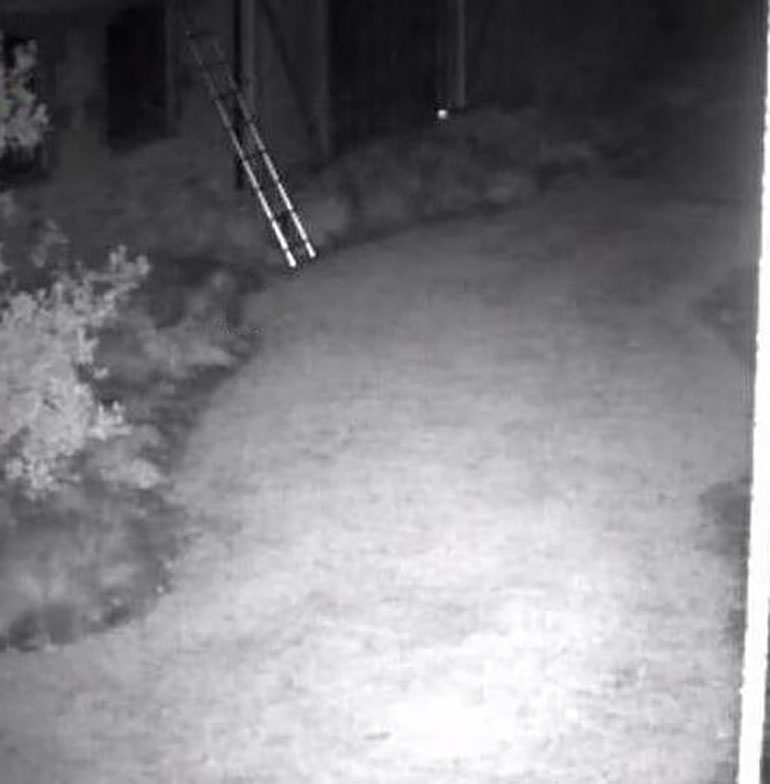 Los ladrones intentaron ingresar a la mansión con una escalera