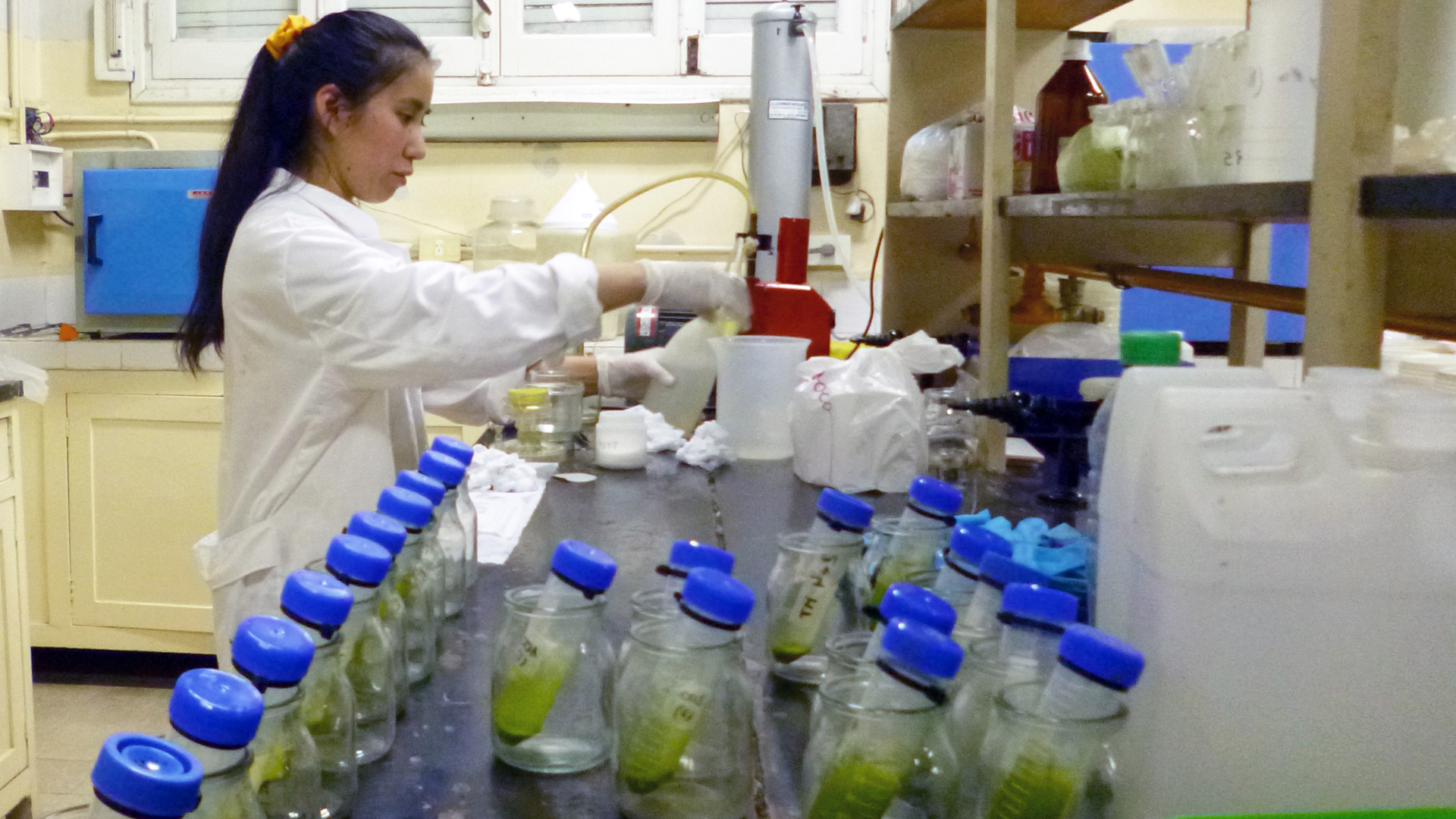 El nuevo experimento podría aplicarse en toda la cuenca para bajar los niveles de contaminación