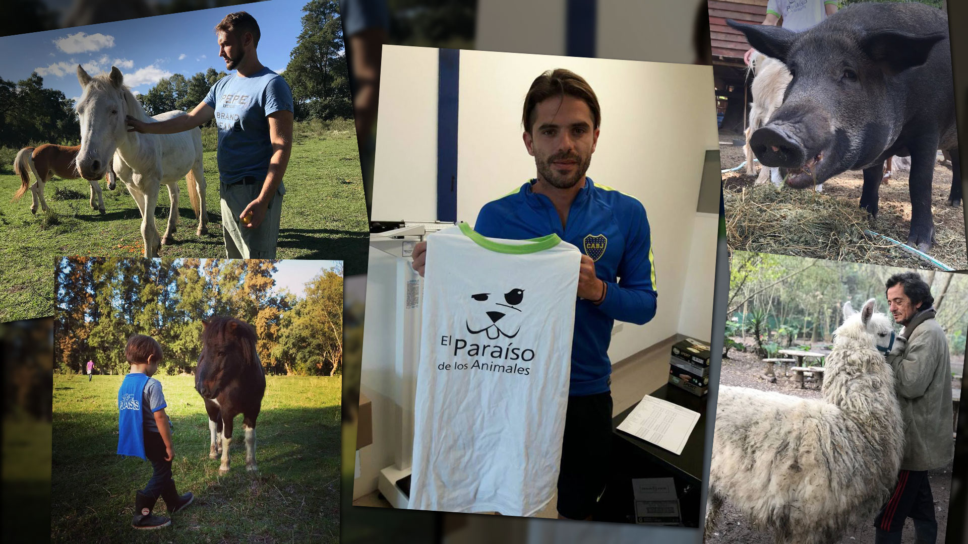 El Paraíso de los Animales realiza visitas periódicas y rifas que ayuden con los gastos diarios. Fernando Gago fue uno de los jugadores de Boca que firmó una camiseta que se sorteó el año pasado.