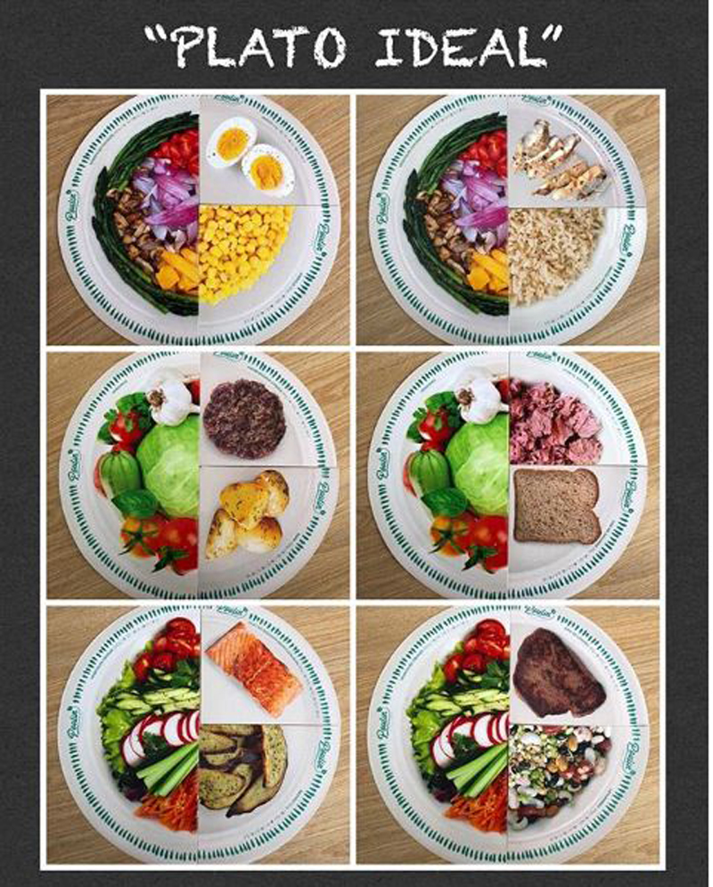 “Plato ideal”, verduras y proteínas, un plato lleno de nutrientes para las comidas del día