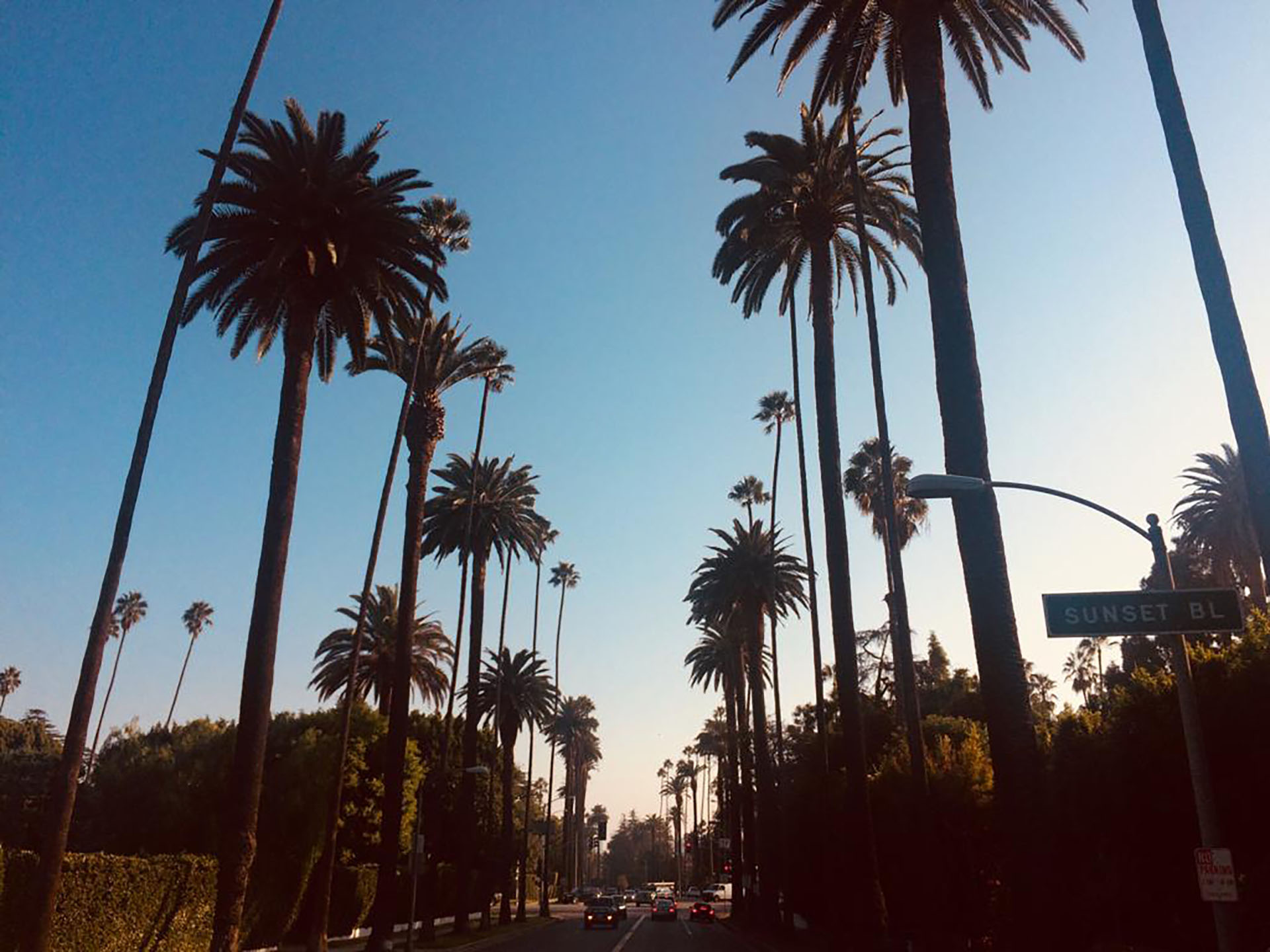 Sunset boulevard, en Beverly Hills