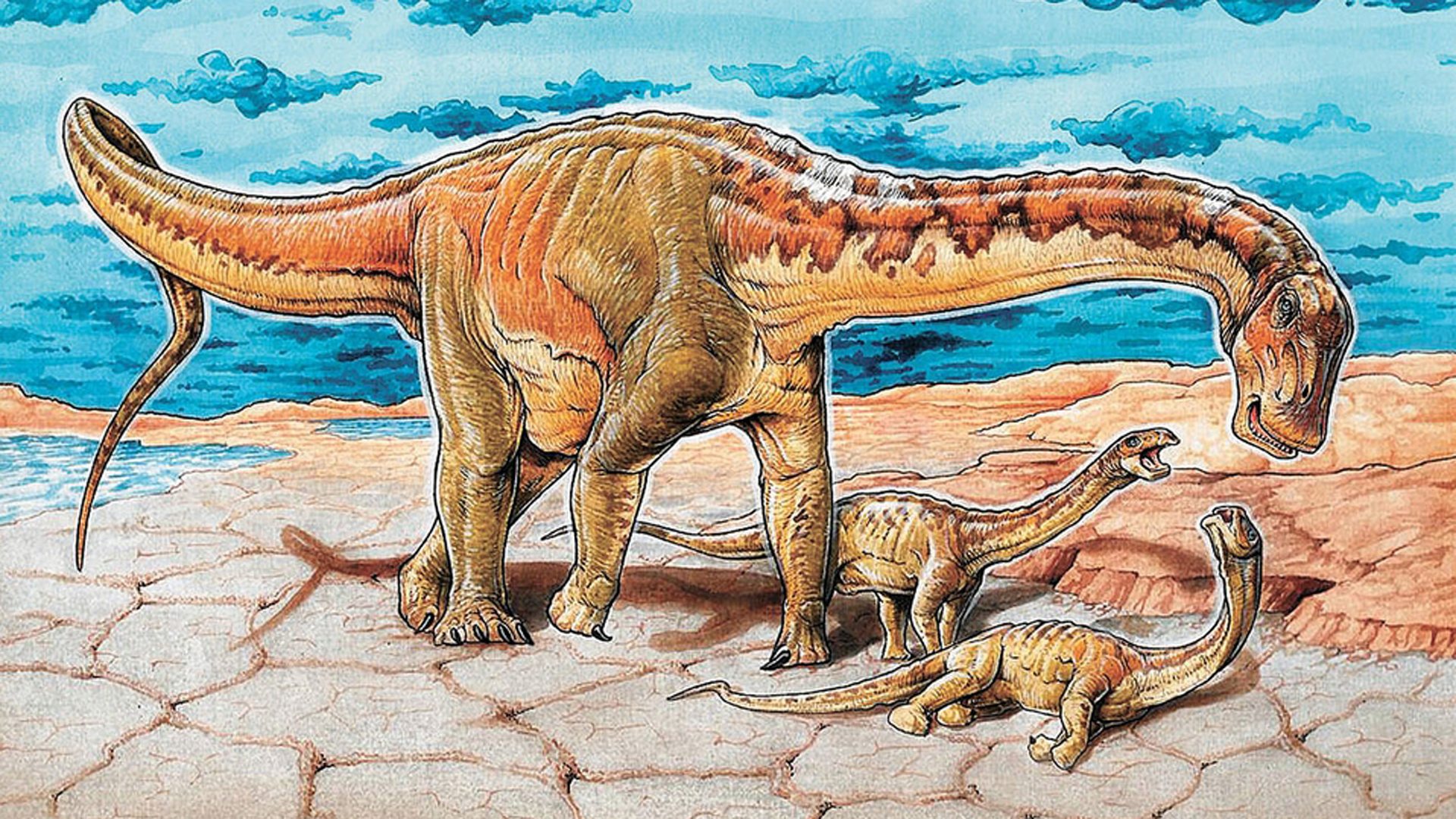 La nueva especie de dinosaurio fue nombrada Lavocatisaurus agrioensis.
