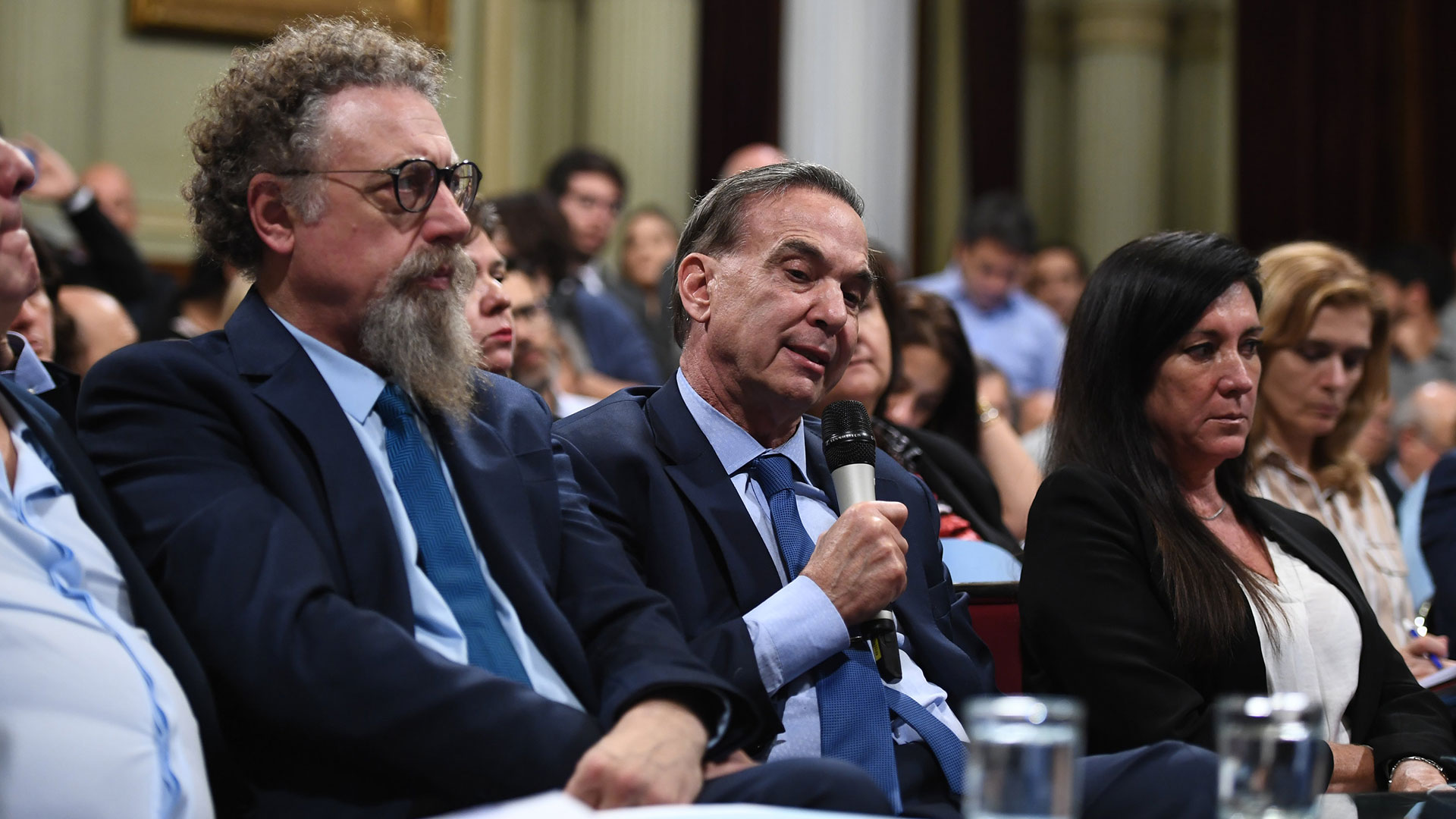 Miguel Pichetto durante su discurso en la comisión