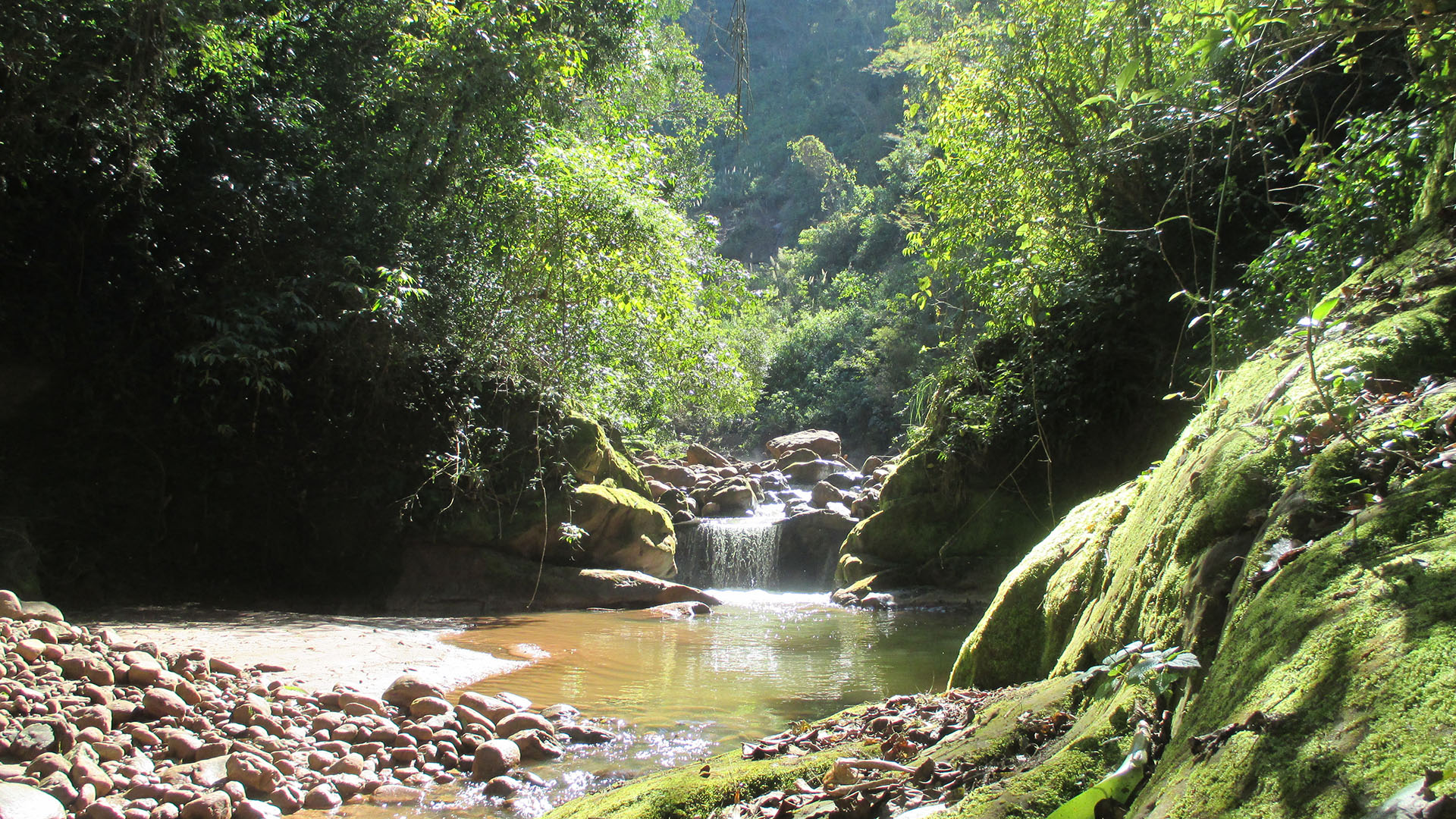 Parque Nacional Calilegua