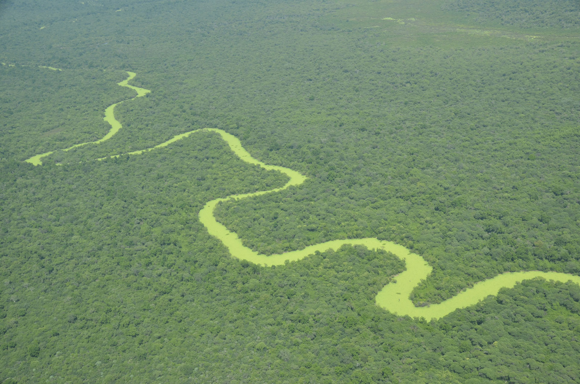 Parque Nacional El Impentrable