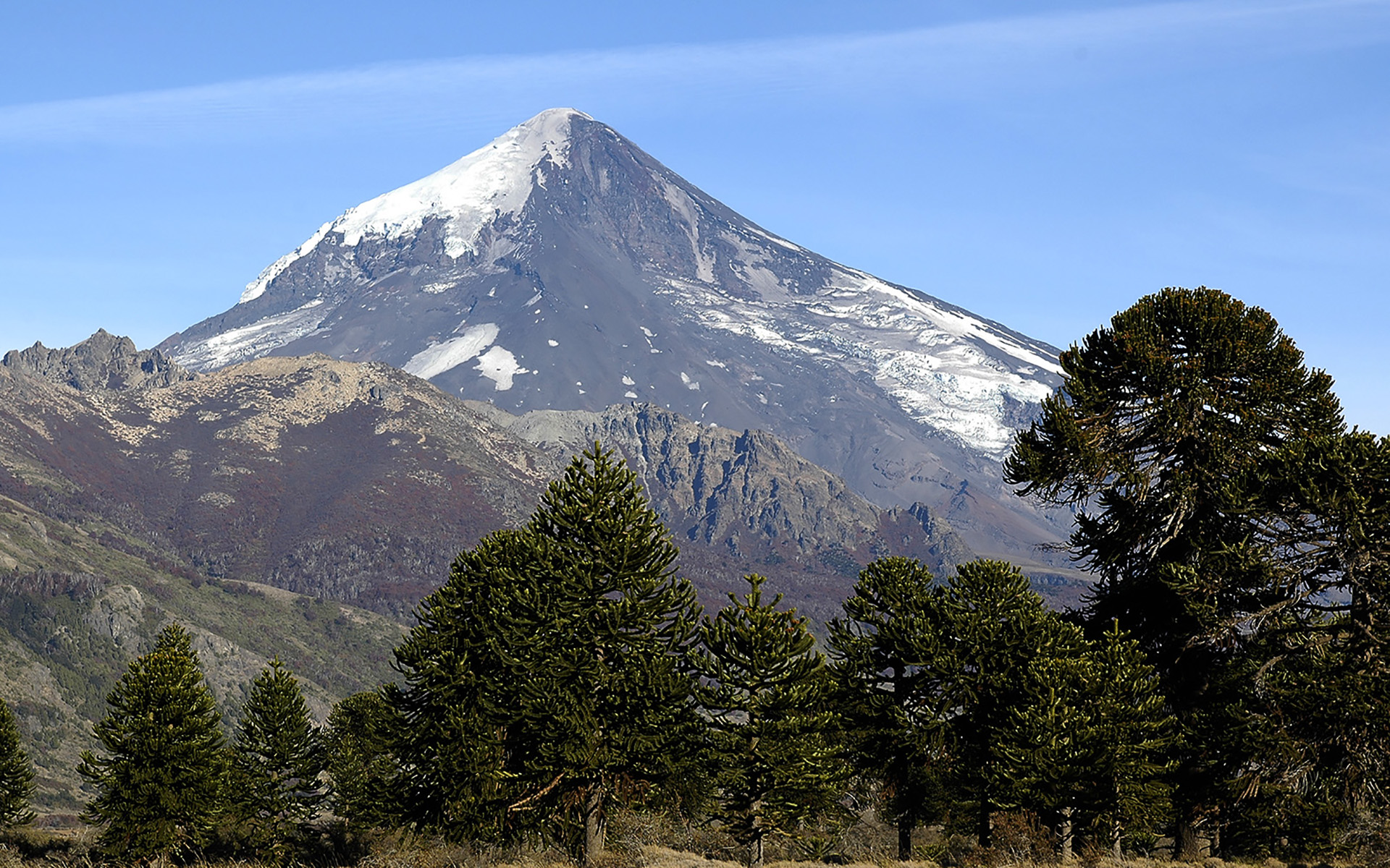 Parque Nacional Lanin