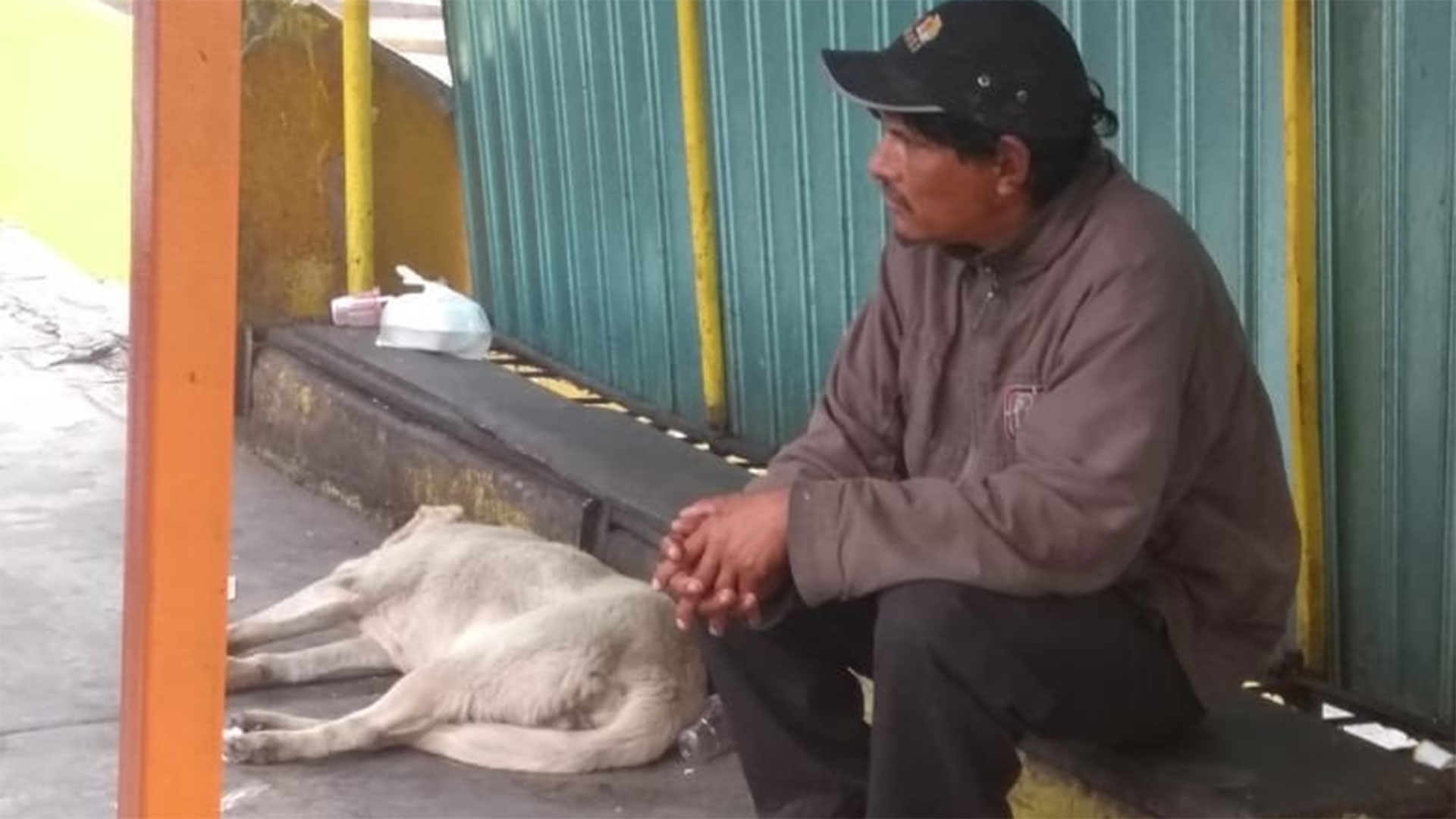 Un indigente fue señalado como el presunto responsable (Foto: @MundoPatitas)