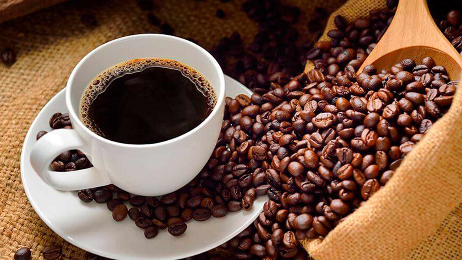 El café, en peligro ¿la próxima víctima del calentamiento global? Perfil Formosa