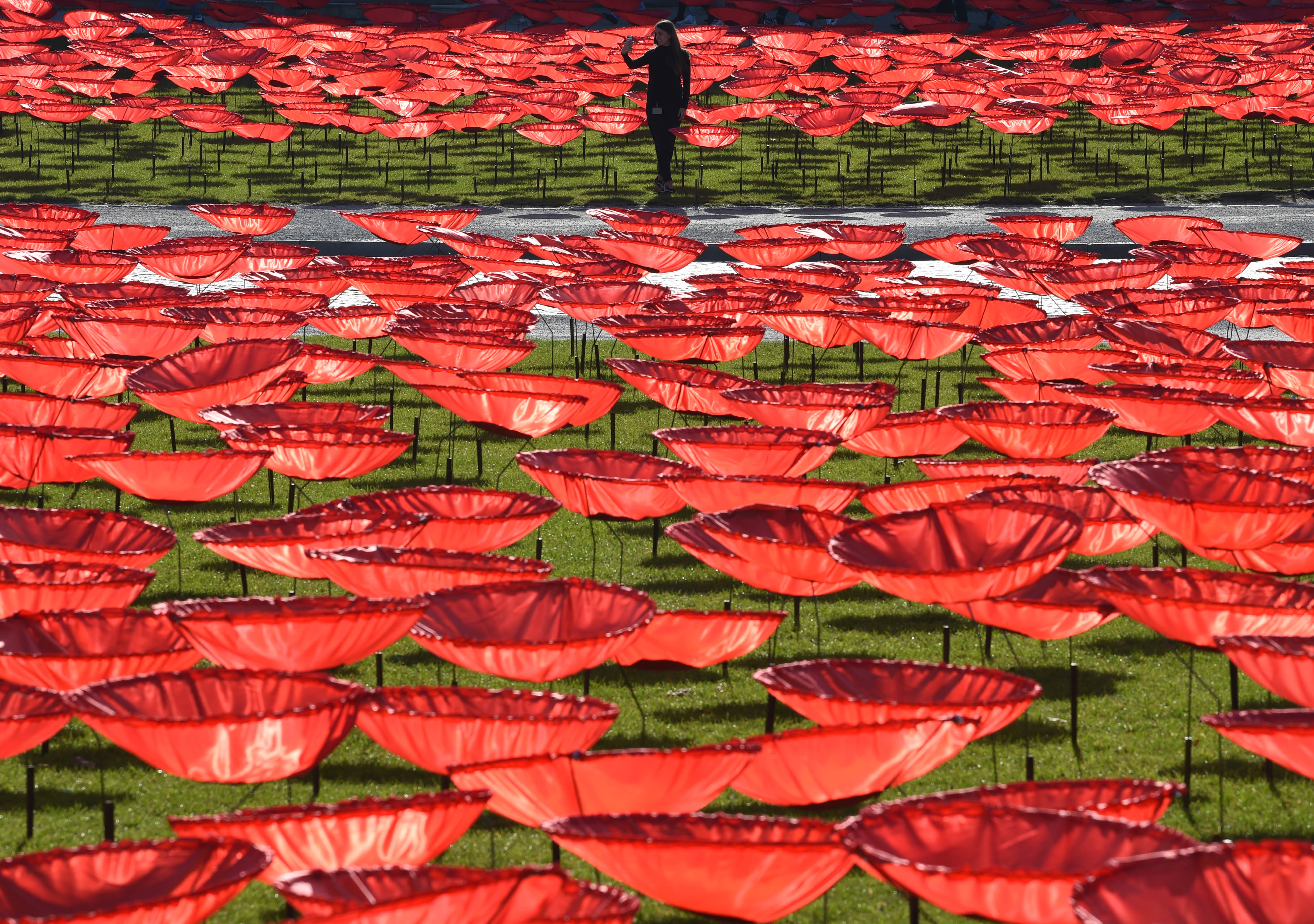 (Photo by Christof STACHE / AFP)
