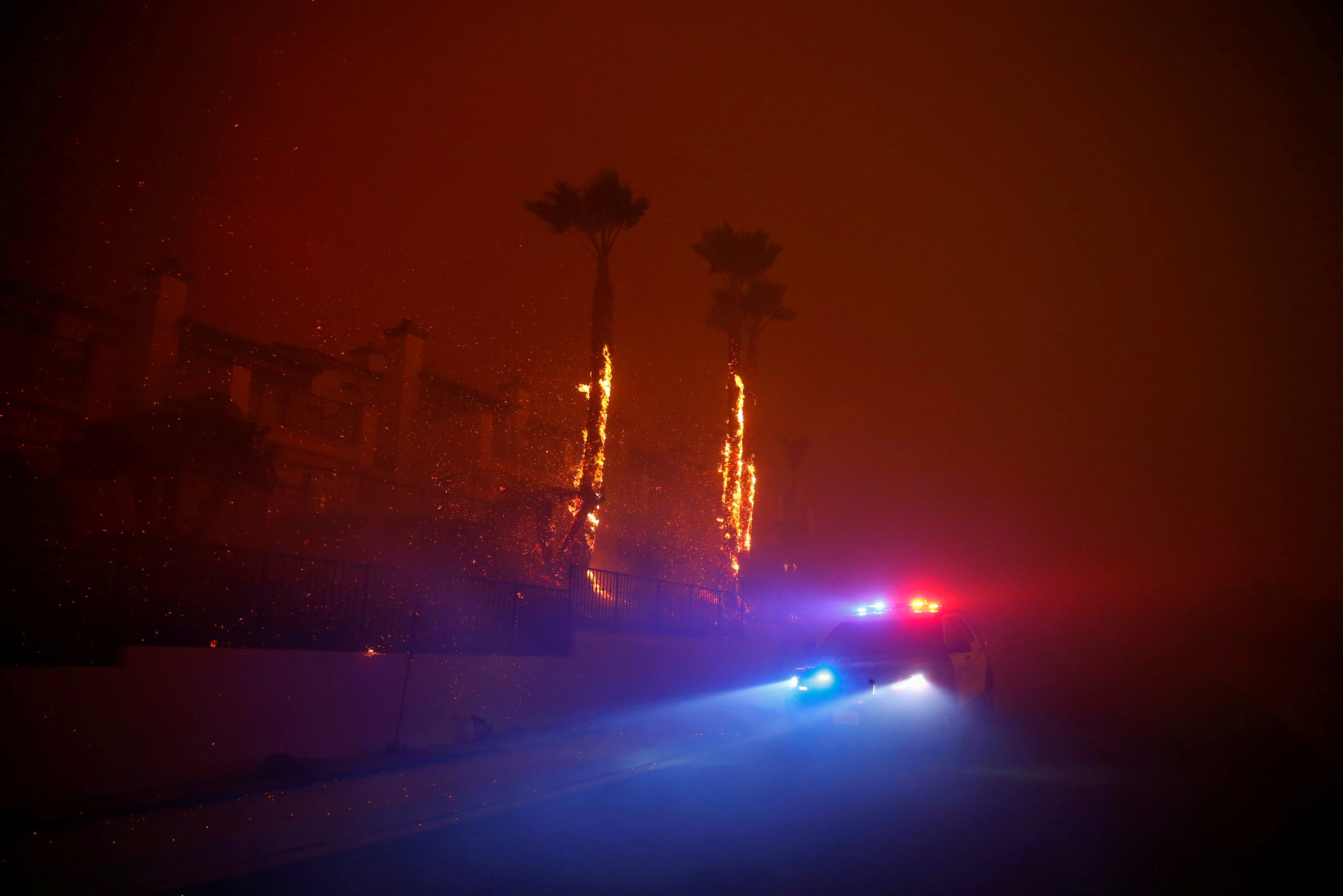(REUTERS/Eric Thayer)