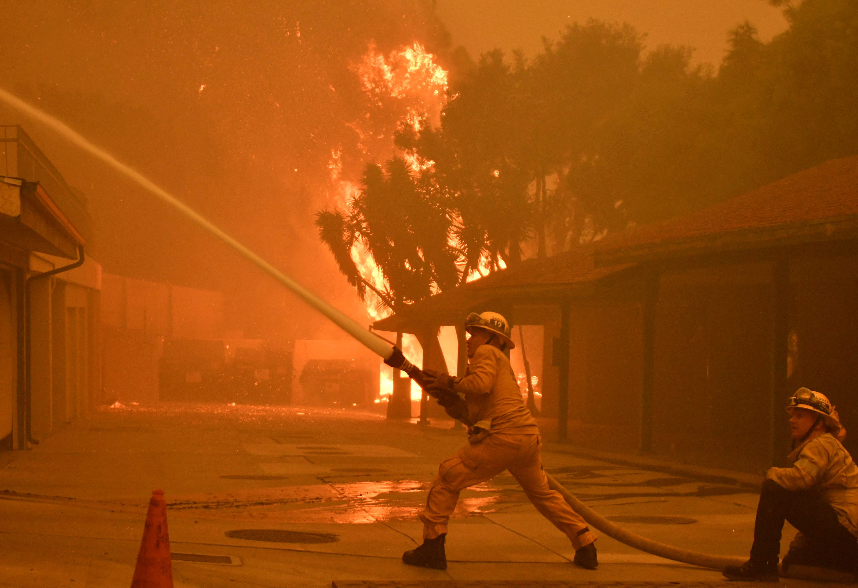 (REUTERS/Gene Blevins)