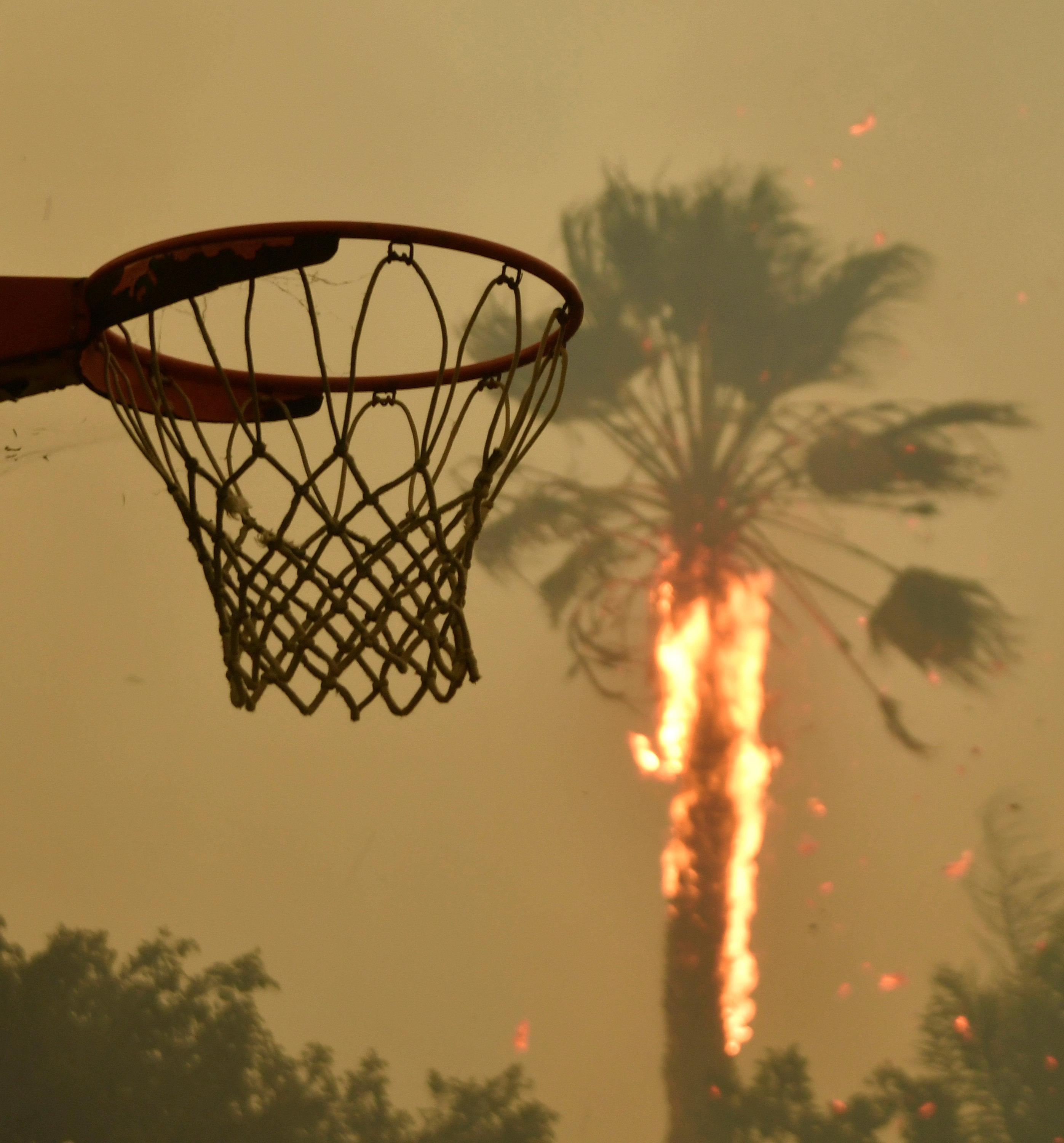 (REUTERS/Gene Blevins)