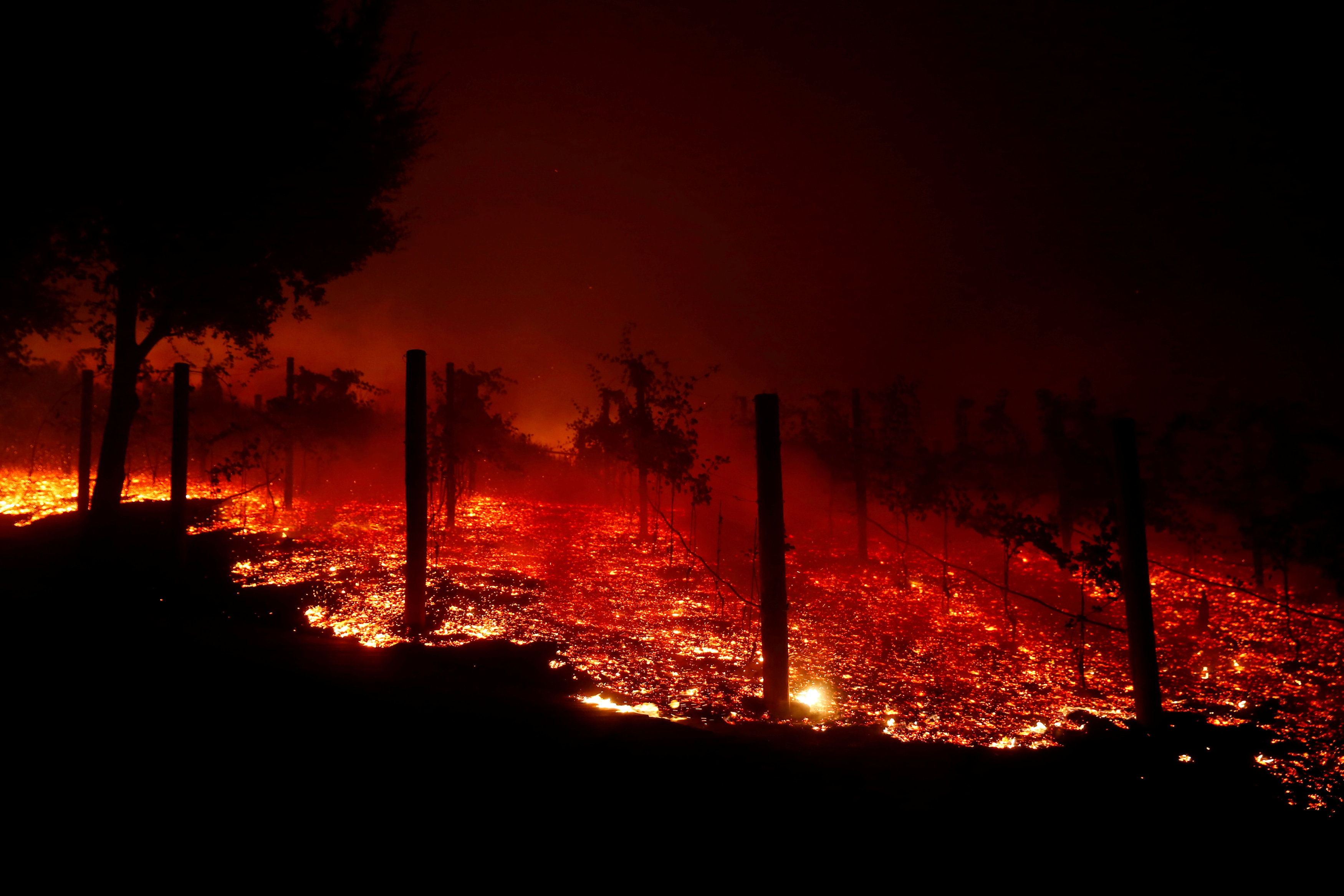(REUTERS/Eric Thayer)