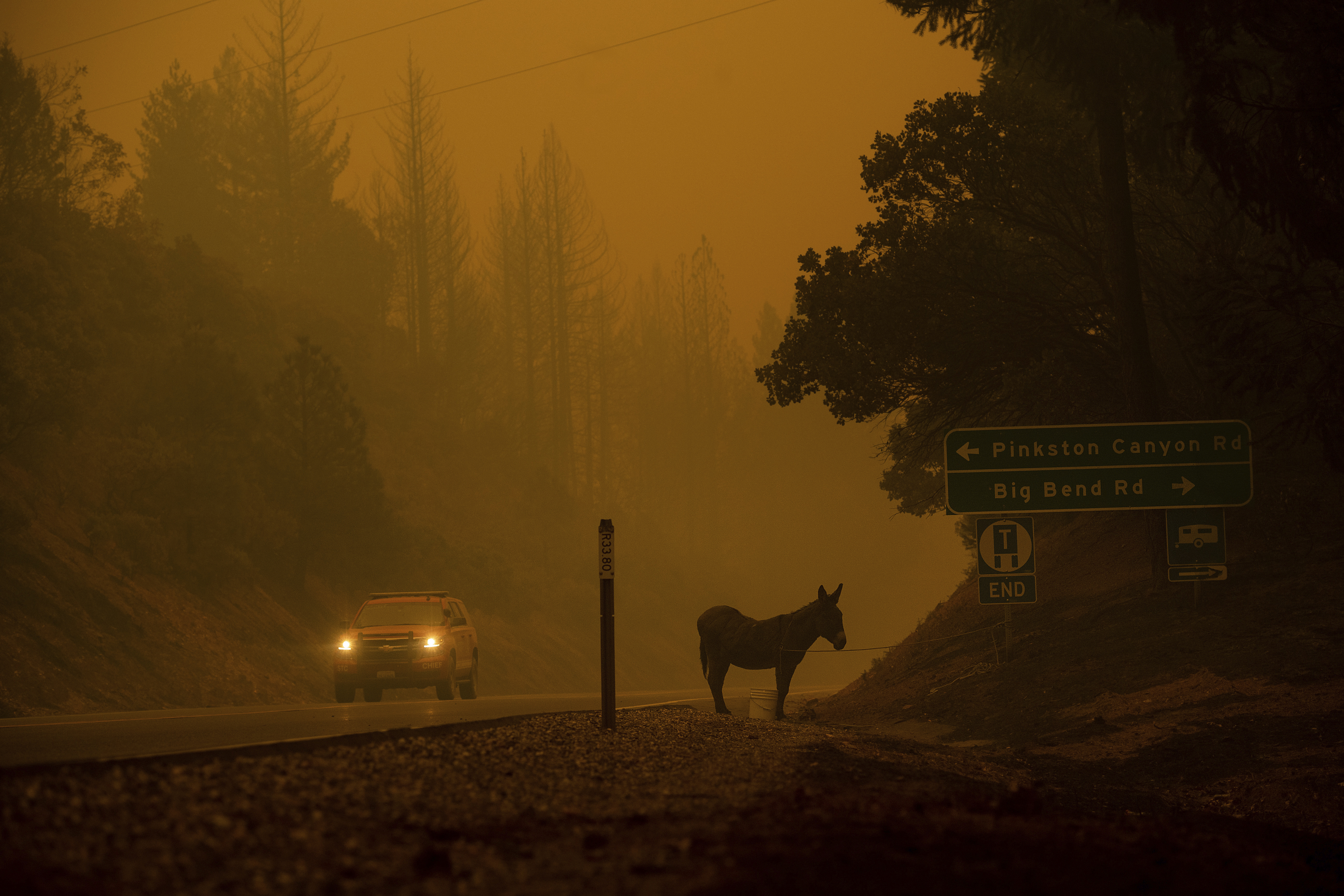 (AP Photo/Noah Berger)
