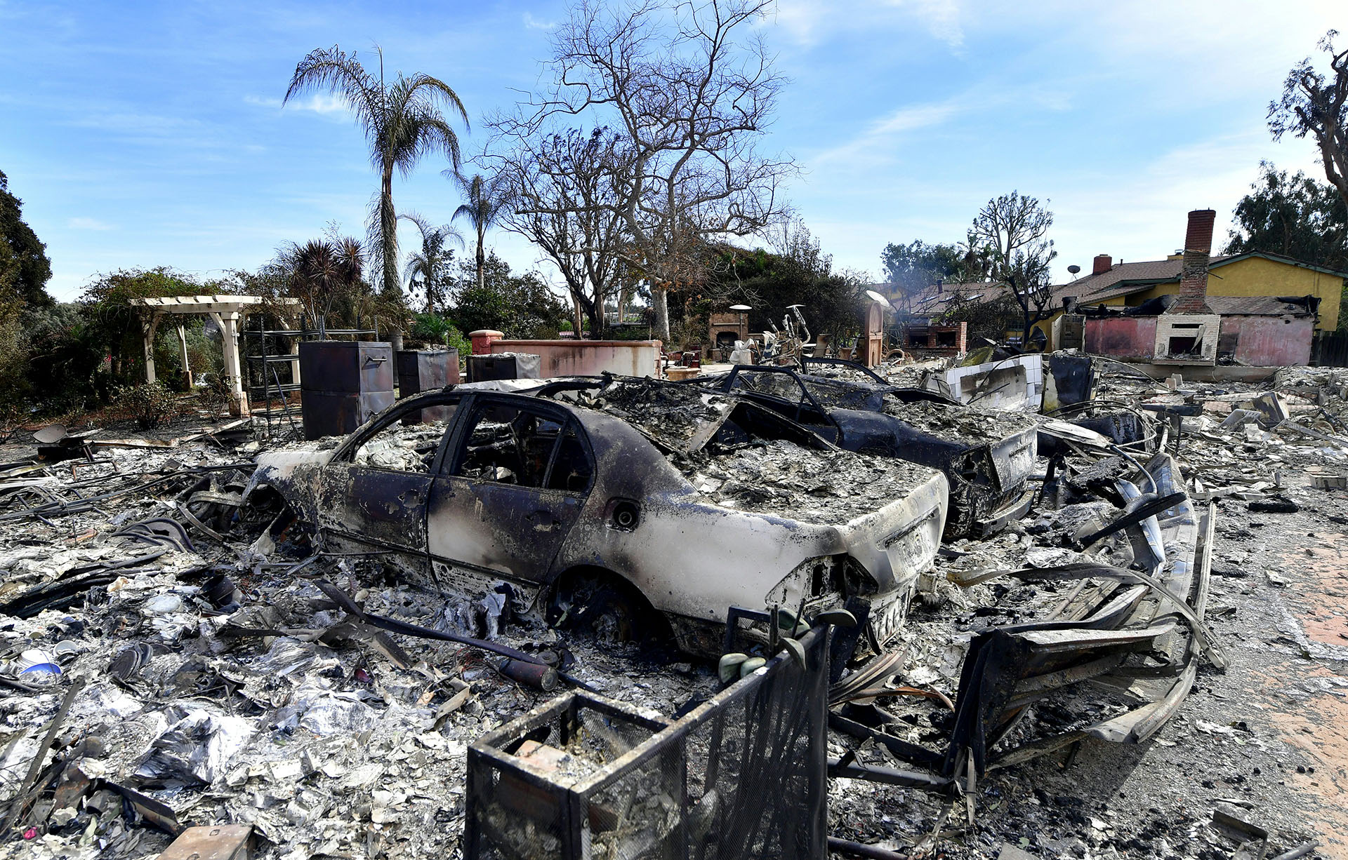 Ni garajes, ni los vehículos, ni las palmeras. Prácticamente nada quedó a salvo del fuego en Busch Drive