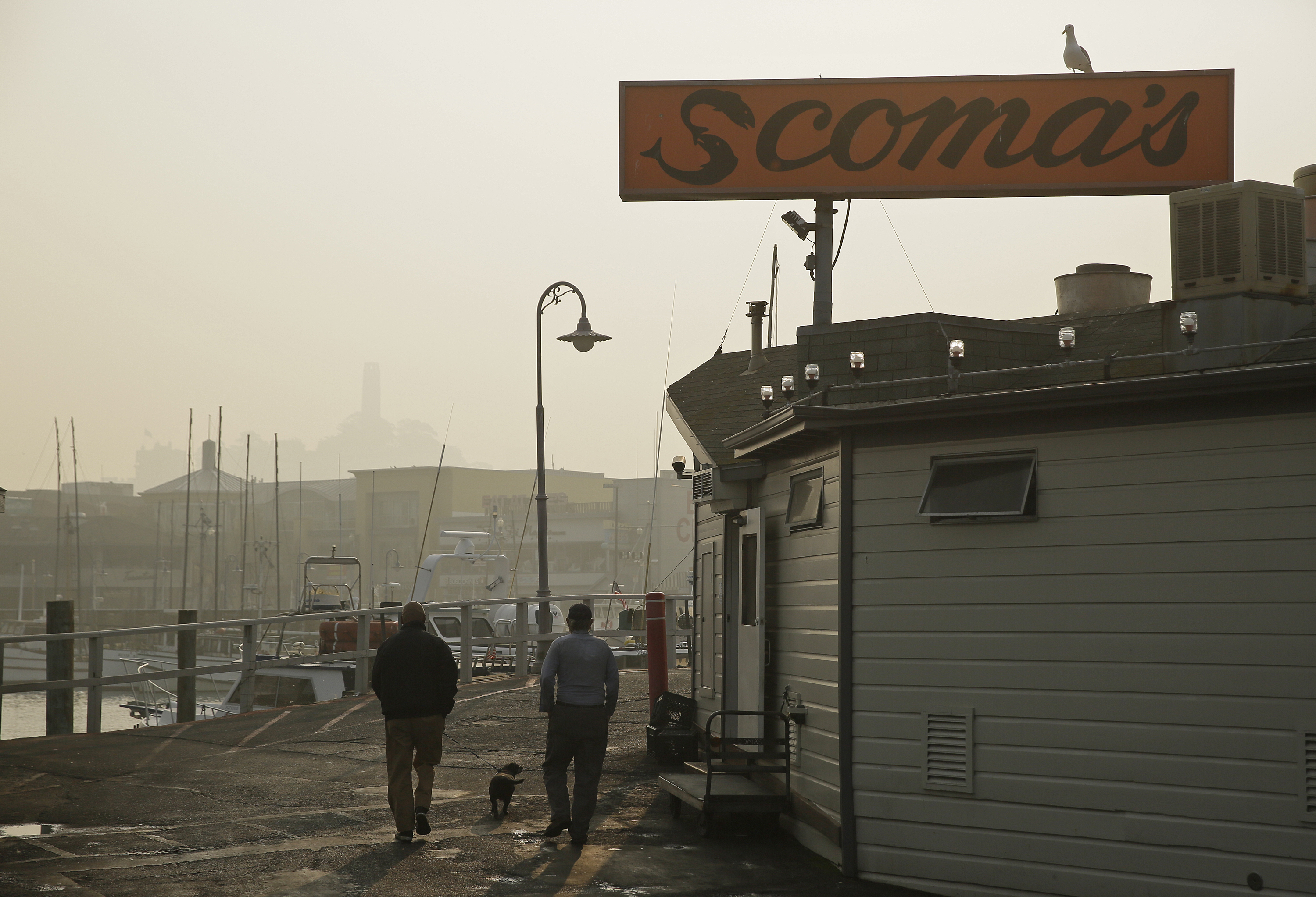 Aunque las investigaciones siguen hoy activas y no se ha determinado la causa del gigantesco y mortífero incendio que quema en California, todas las miradas se centran en la principal compañía eléctrica de la zona, que detectó un “problema” justo antes de que declararse el fuego