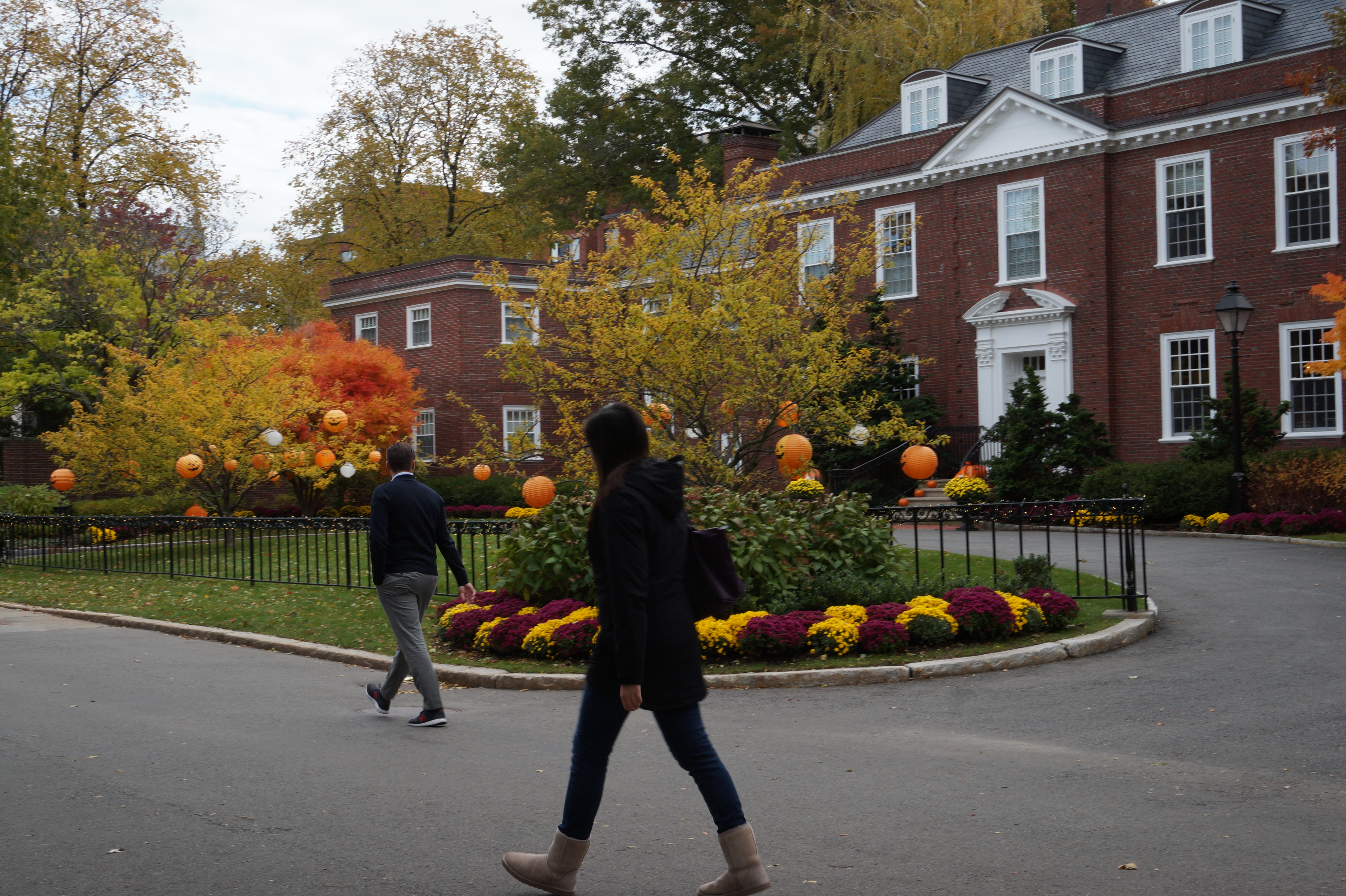 Entre todos los campus de Harvard, el de la escuela de negocios es el más deslumbrante.