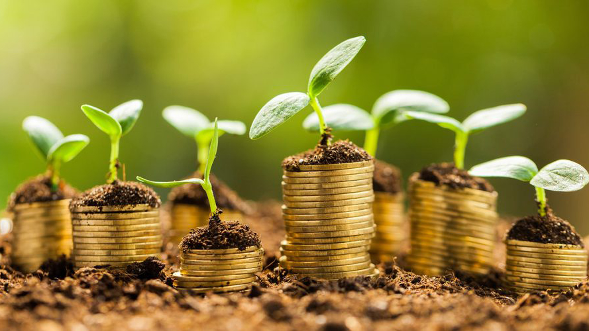 La idea de que “el dinero trabaje para uno”, clave en el sistema de autoayuda financiera