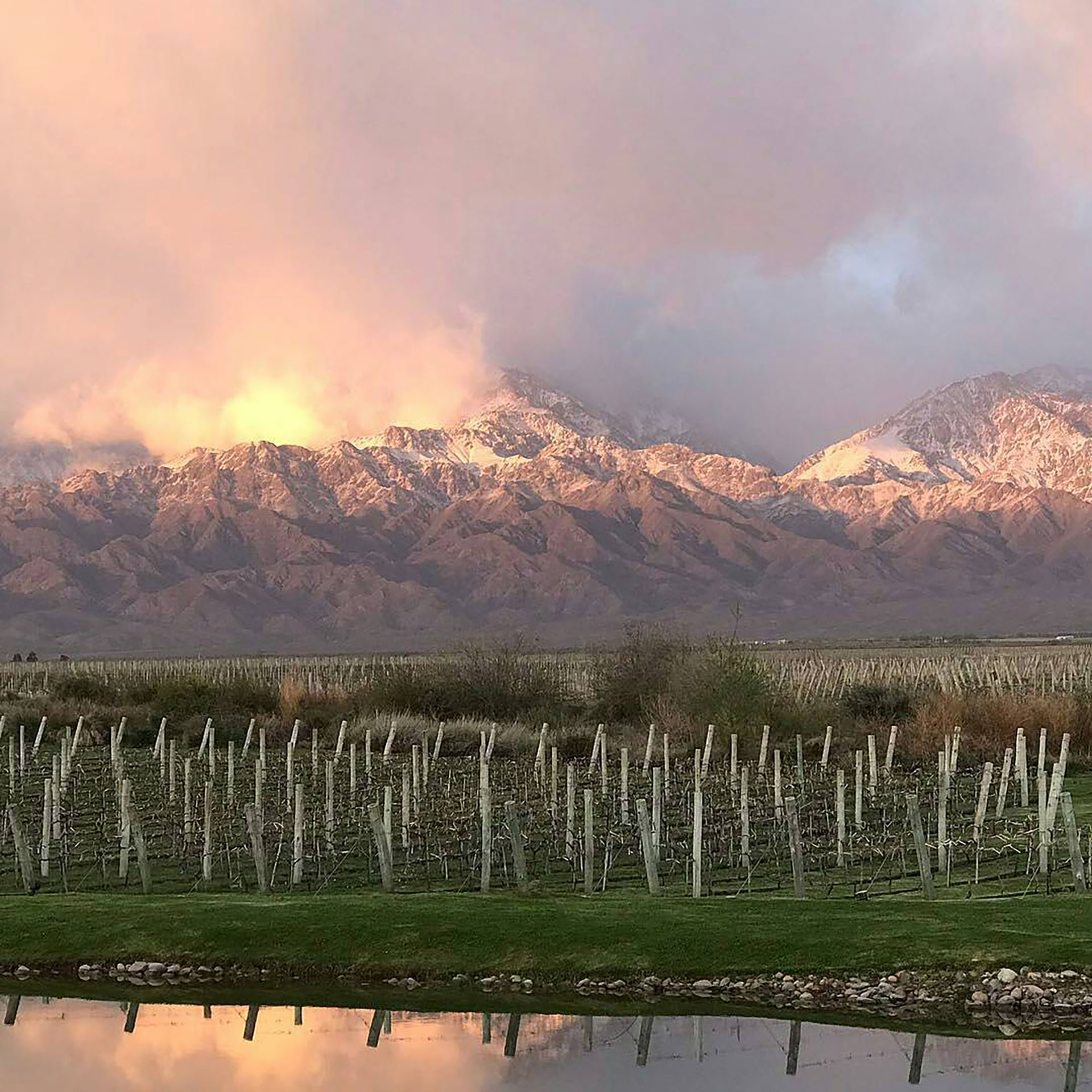 Rodeados de viñedos y de imponentes paisajes, los enamorados podrán disfrutar de una oportunidad única (@thevinesresortandspa)