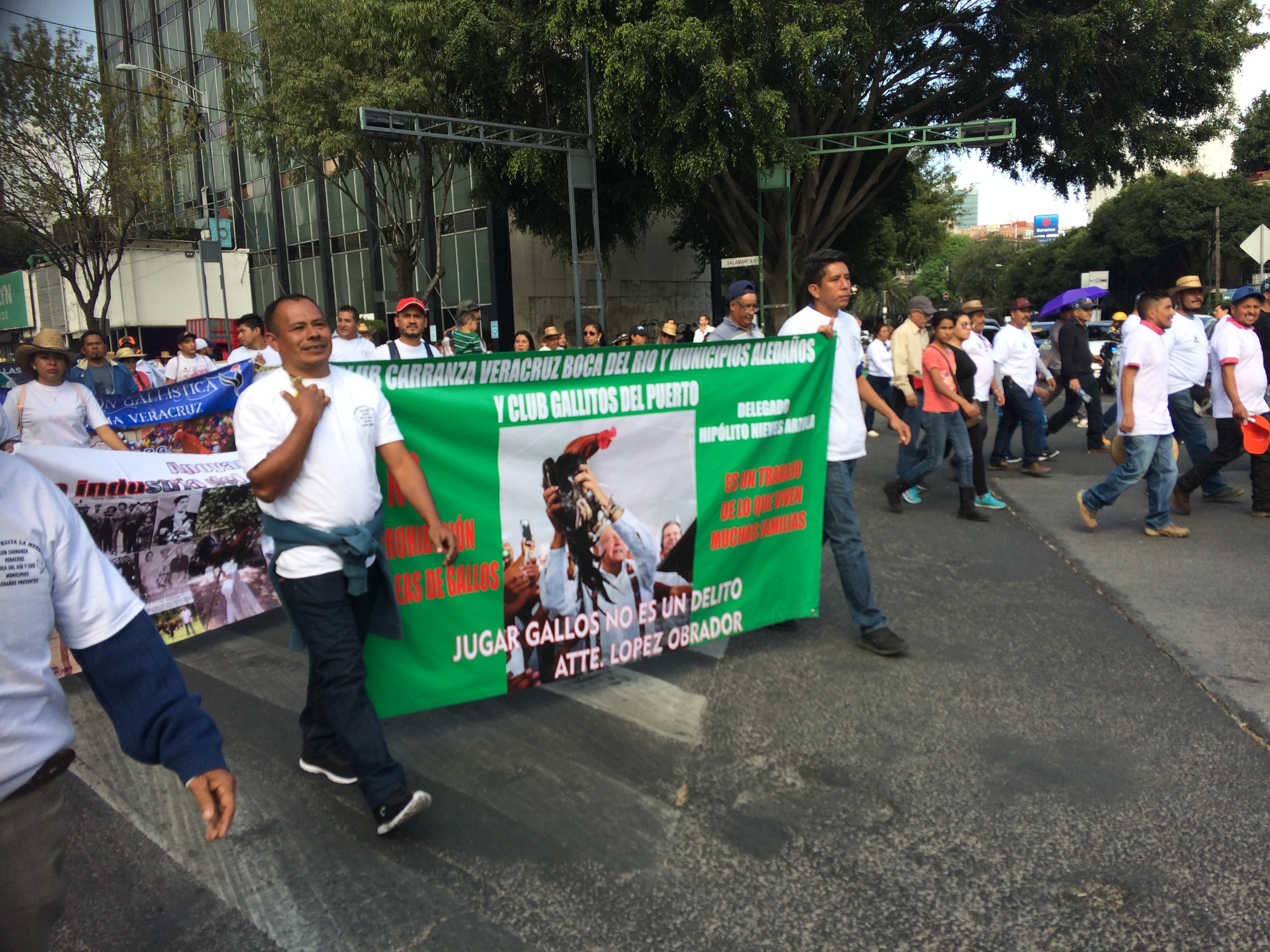 Gente de distintos estados del país viajó hasta la capital para sumarse a la protesta