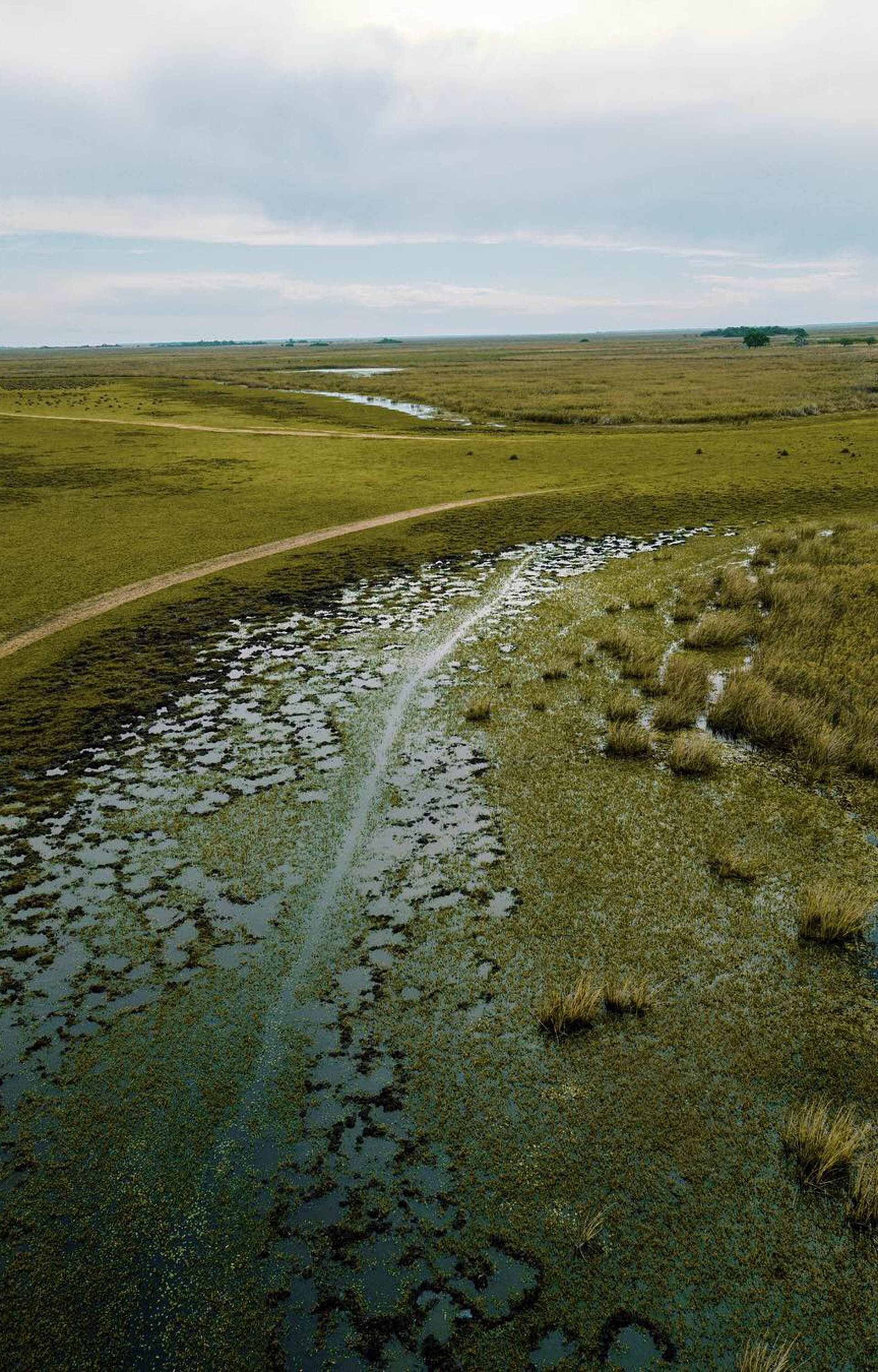 Los colores y los trazos de las lagunas , bañados y suelos flotantes de vegetación son uno de los atractivos.