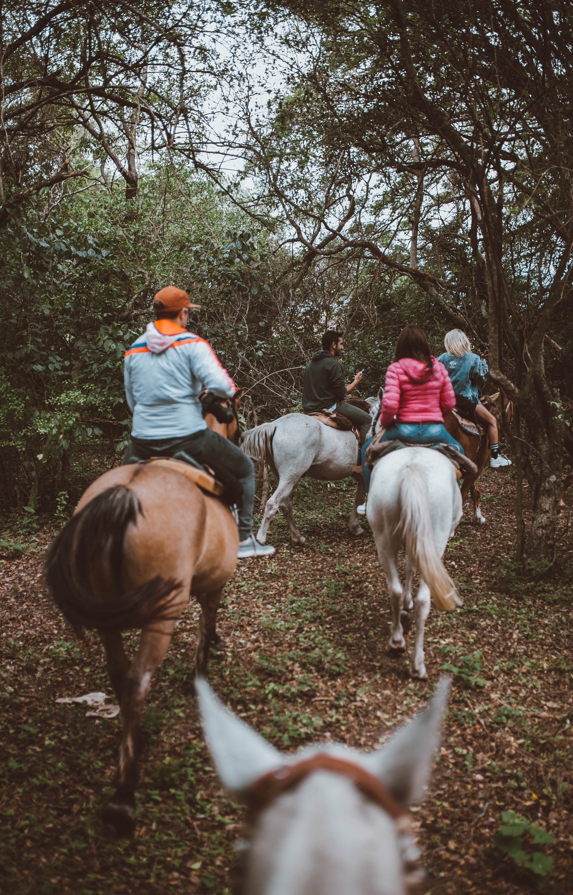 Este es un destino ideal para hacer cabalgatas y recorrer los rincones de Corrientes.