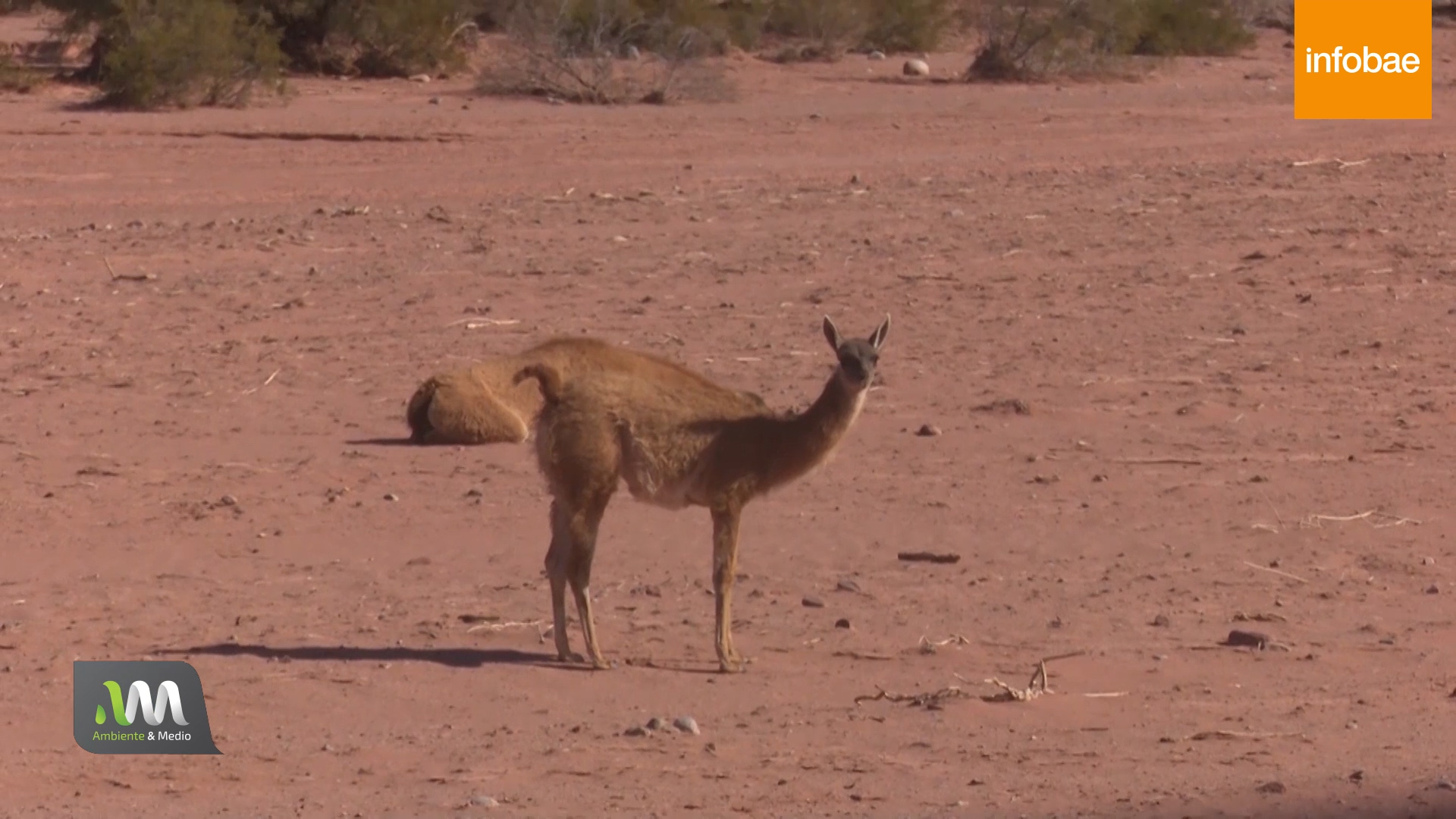 Muchos lugares del planeta hoy son nuevos desiertos