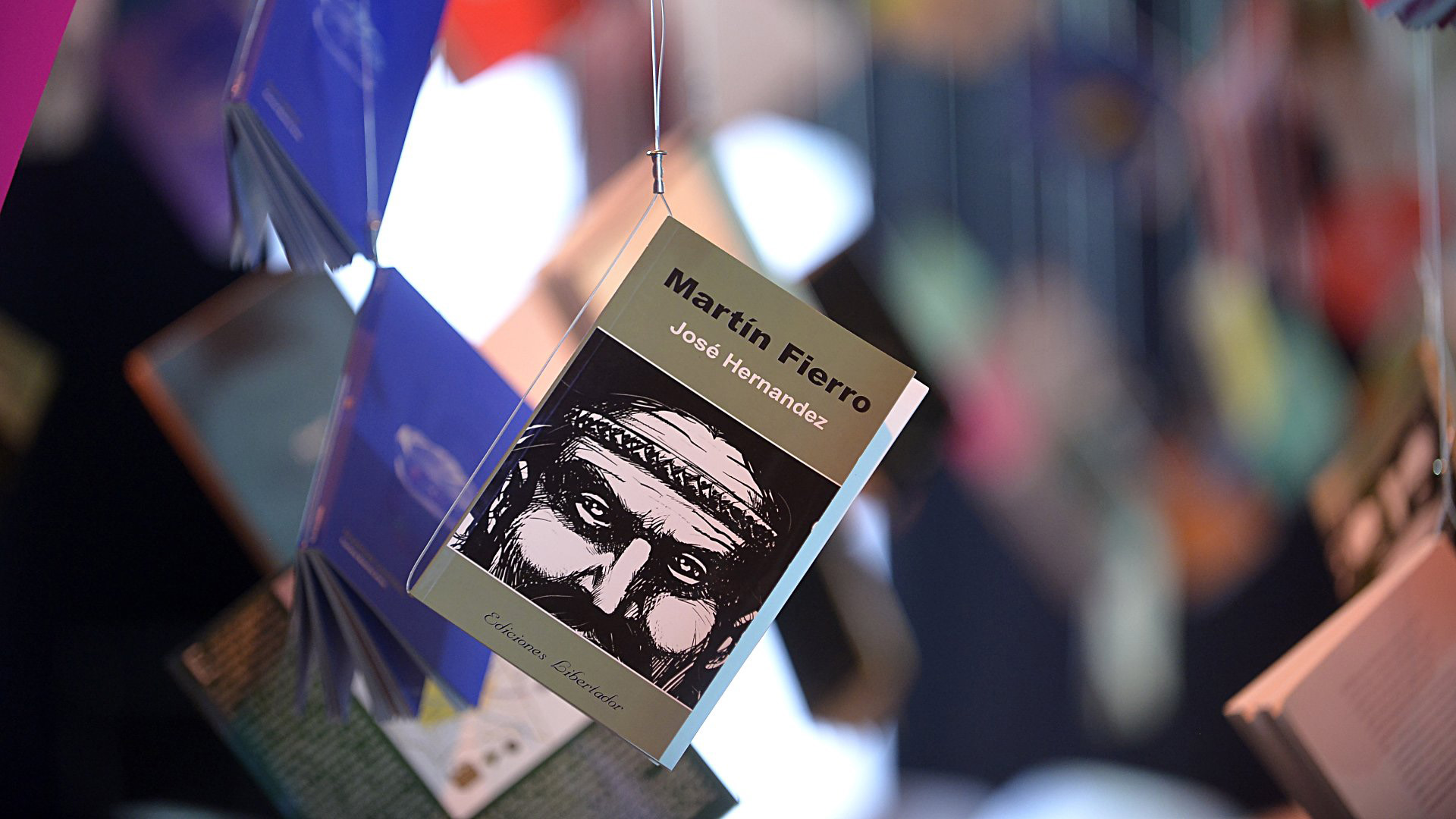 Martín Fierro, uno de los clásicos de la literatura argentina, cuelga de una tanza junto otras libros para leer de manera recreativa