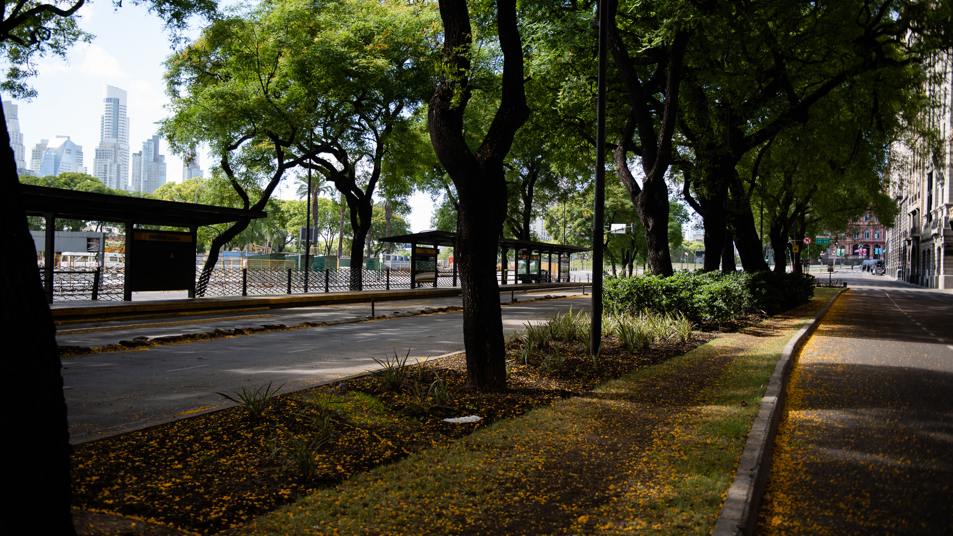 Una postal de la ciudad de Buenos Aires. Calma y vacío