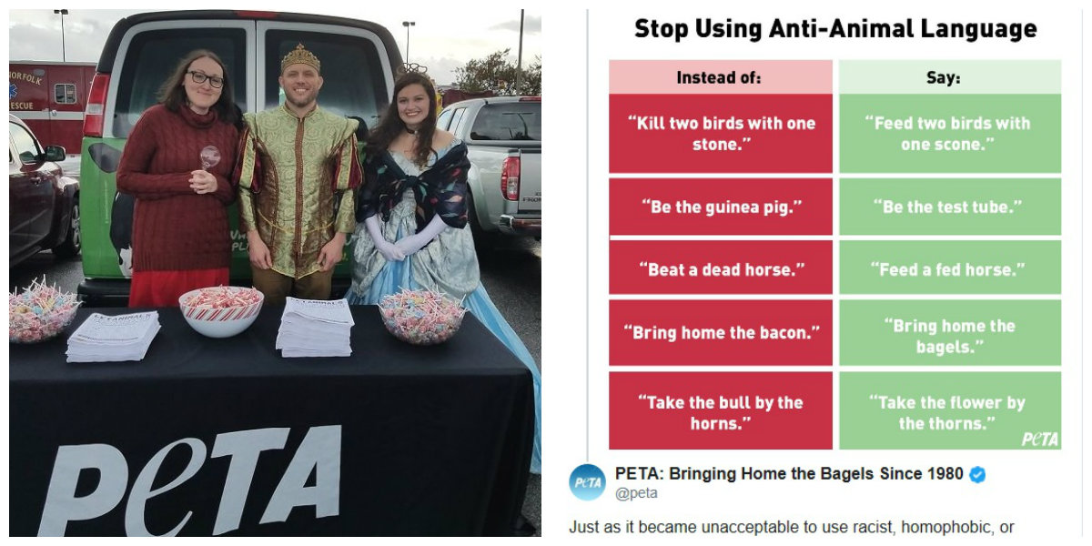 La organización sugirió frases alternativas que no incluyan el maltrato animal en su lenguaje (Foto: Especial)