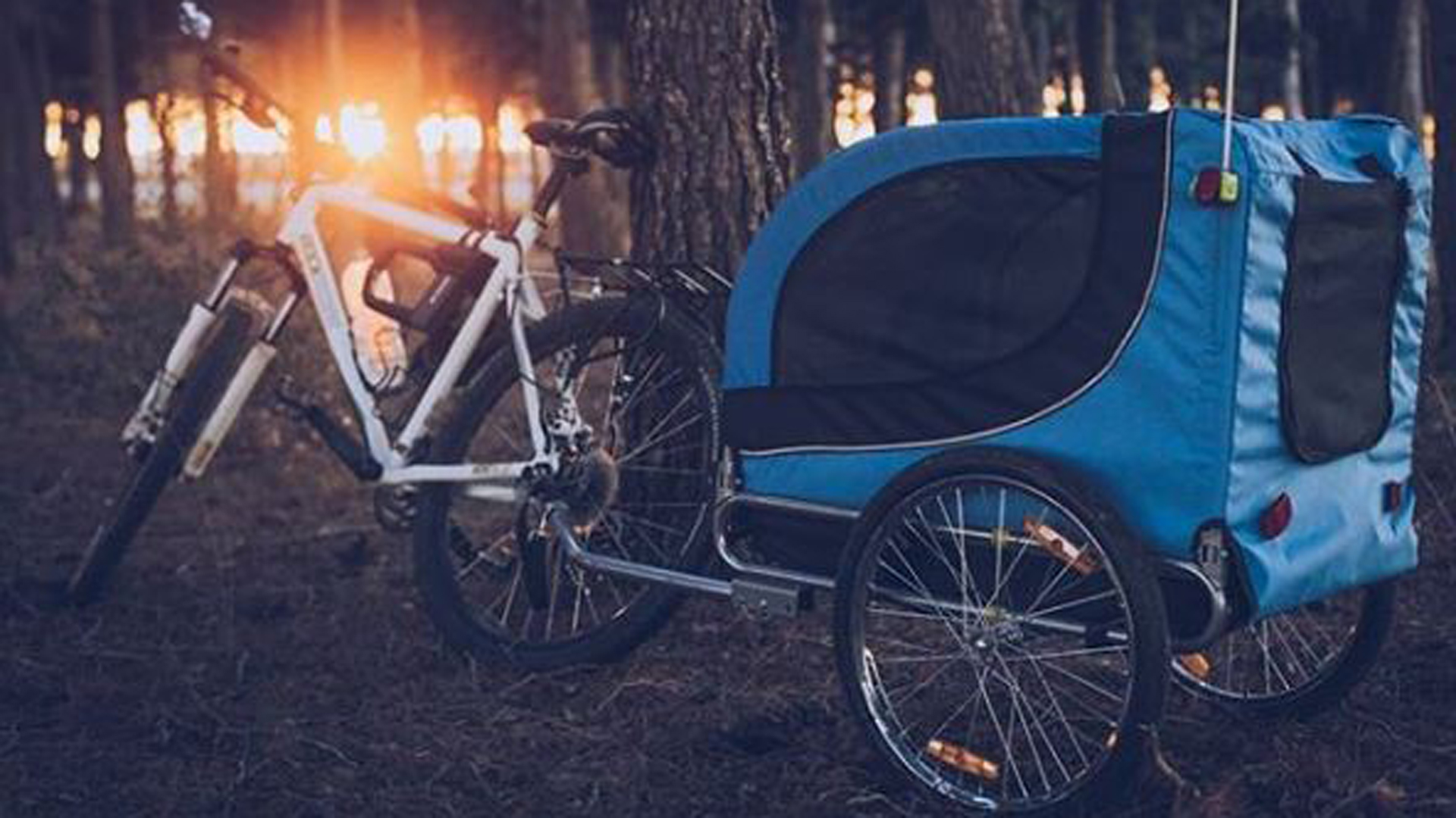 Agustín se compró la bici y luego el carrito en donde viaja Vito
